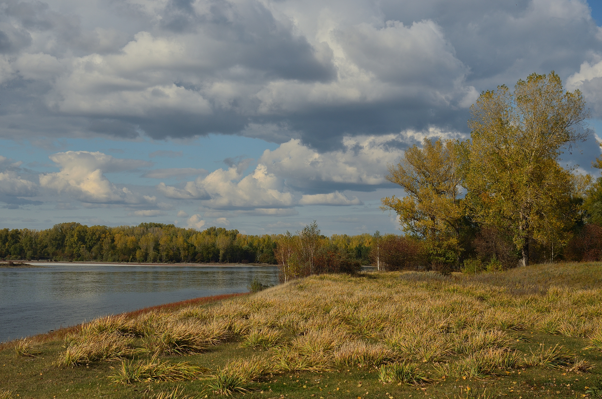 September sketches near the Yenisei River - My, Krasnoyarsk region, Shushenskoye, The photo, Autumn, Shushka, Longpost, Yenisei