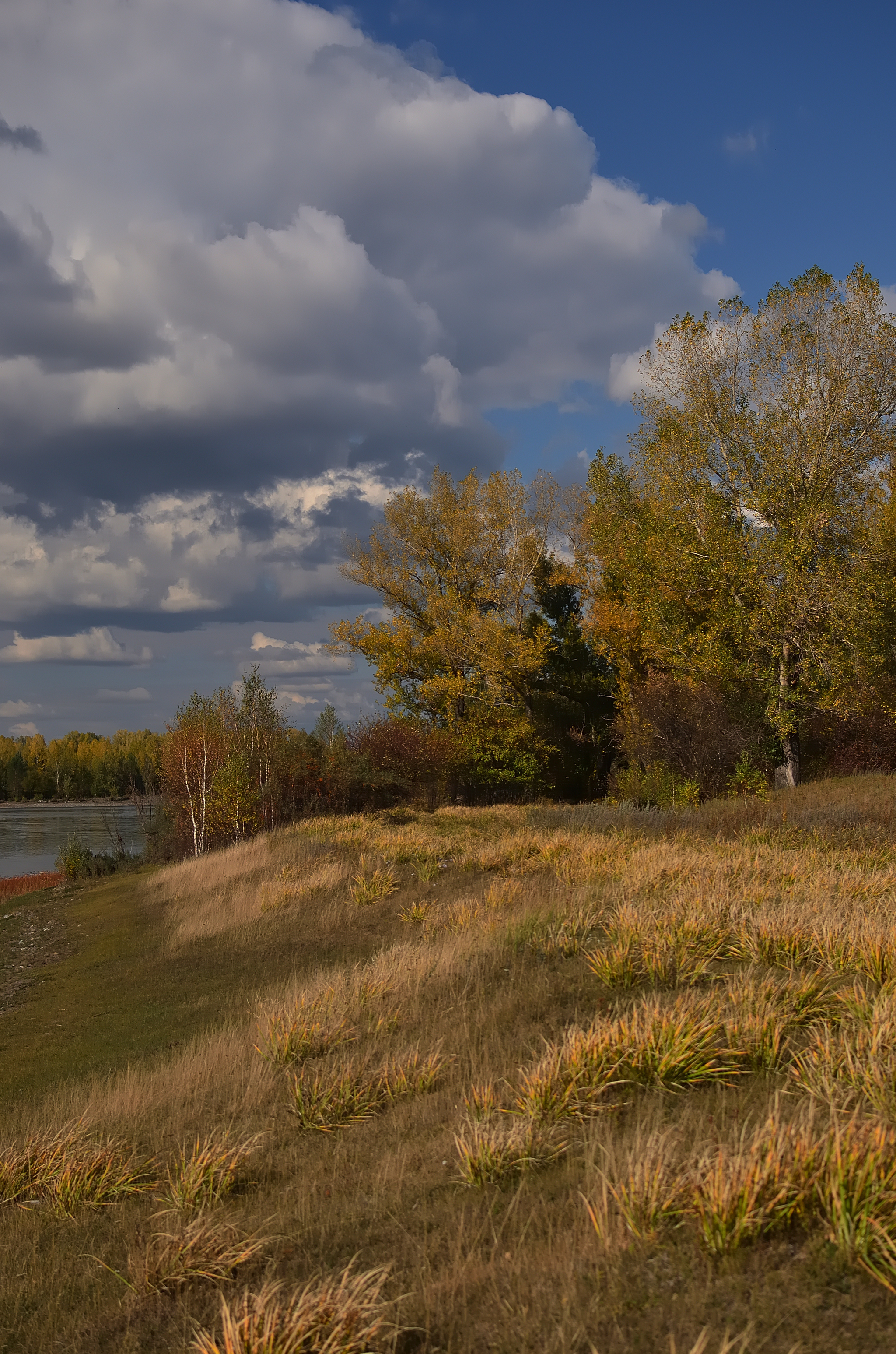 September sketches near the Yenisei River - My, Krasnoyarsk region, Shushenskoye, The photo, Autumn, Shushka, Longpost, Yenisei