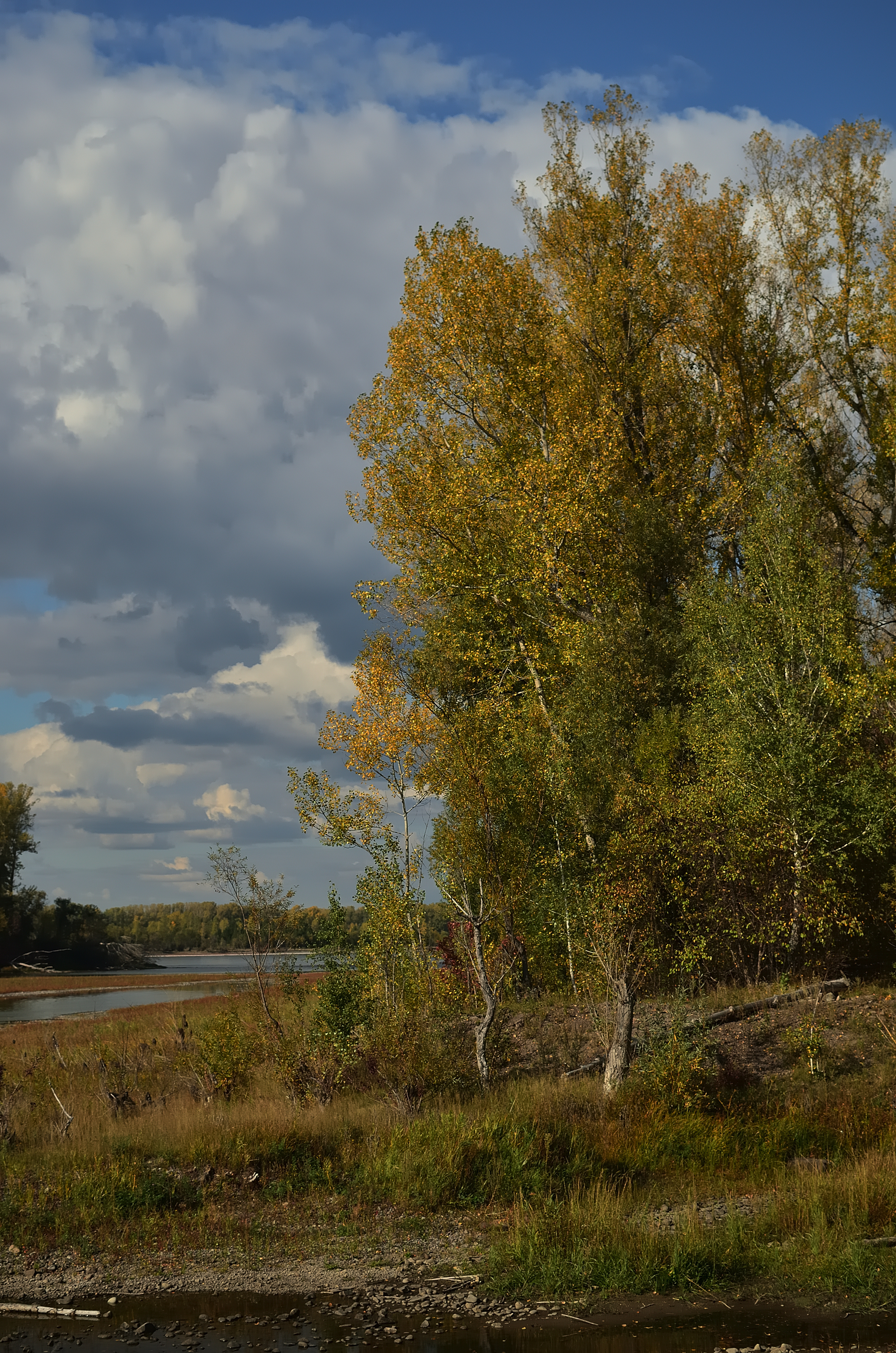 September sketches near the Yenisei River - My, Krasnoyarsk region, Shushenskoye, The photo, Autumn, Shushka, Longpost, Yenisei