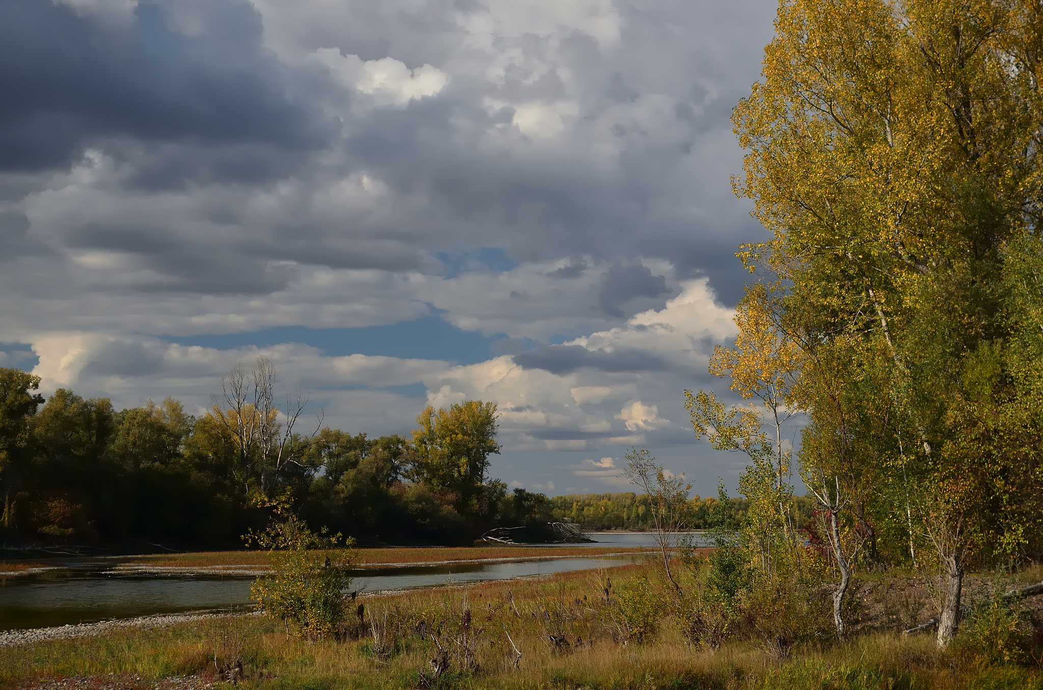 September sketches near the Yenisei River - My, Krasnoyarsk region, Shushenskoye, The photo, Autumn, Shushka, Longpost, Yenisei