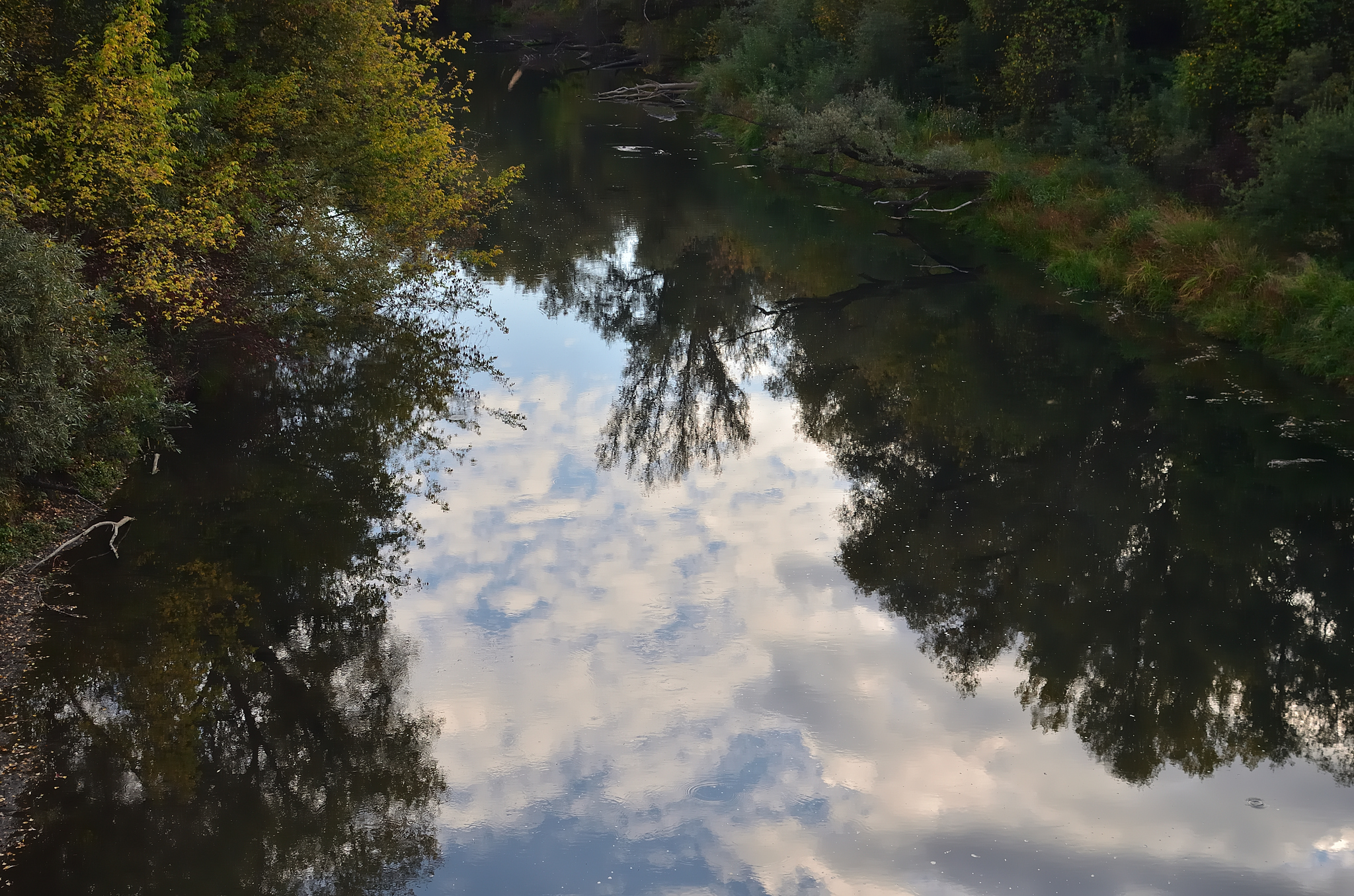 September sketches near the Yenisei River - My, Krasnoyarsk region, Shushenskoye, The photo, Autumn, Shushka, Longpost, Yenisei