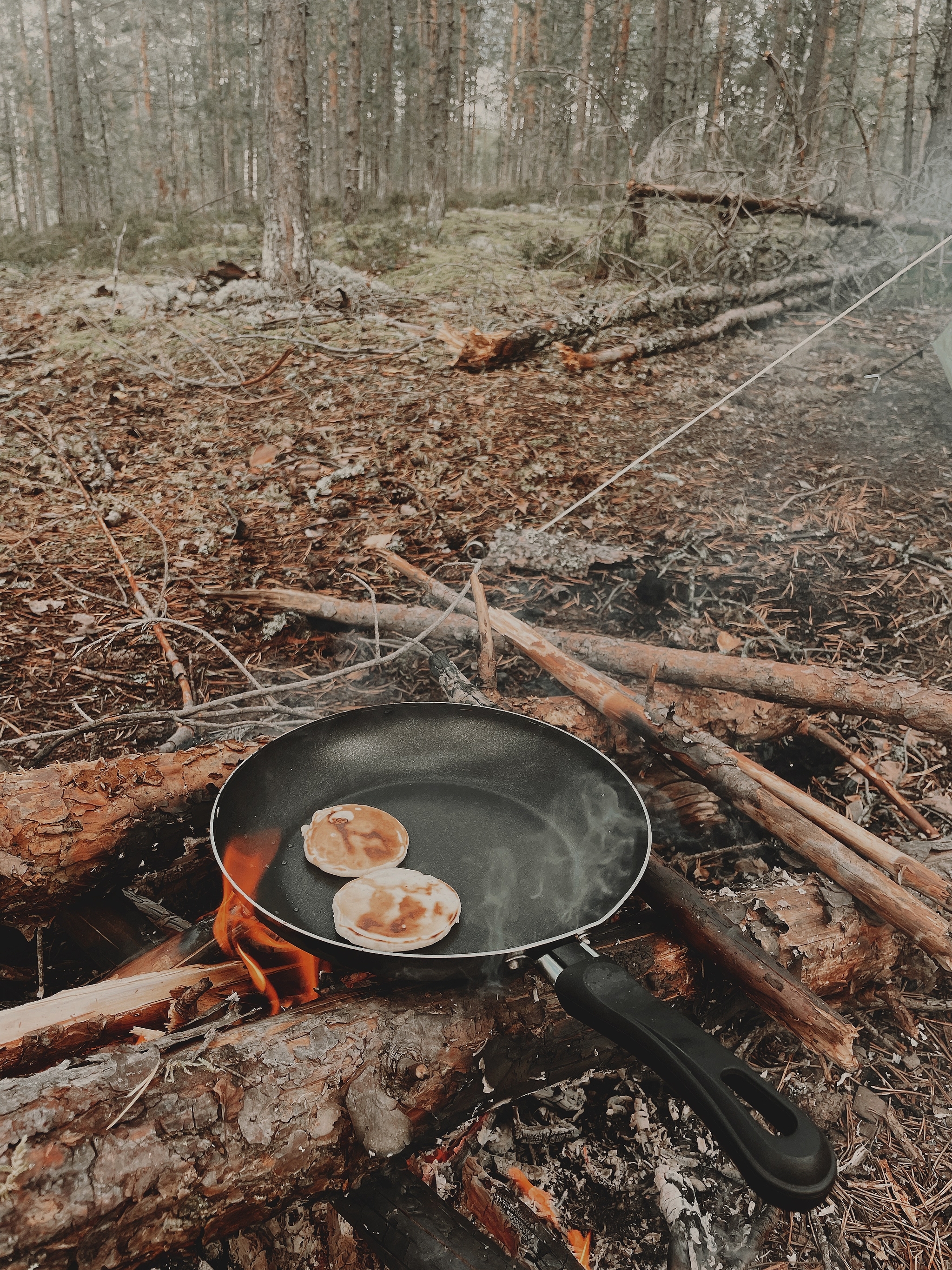 Karelia - My, Карелия, Nature, Travel across Russia, Longpost