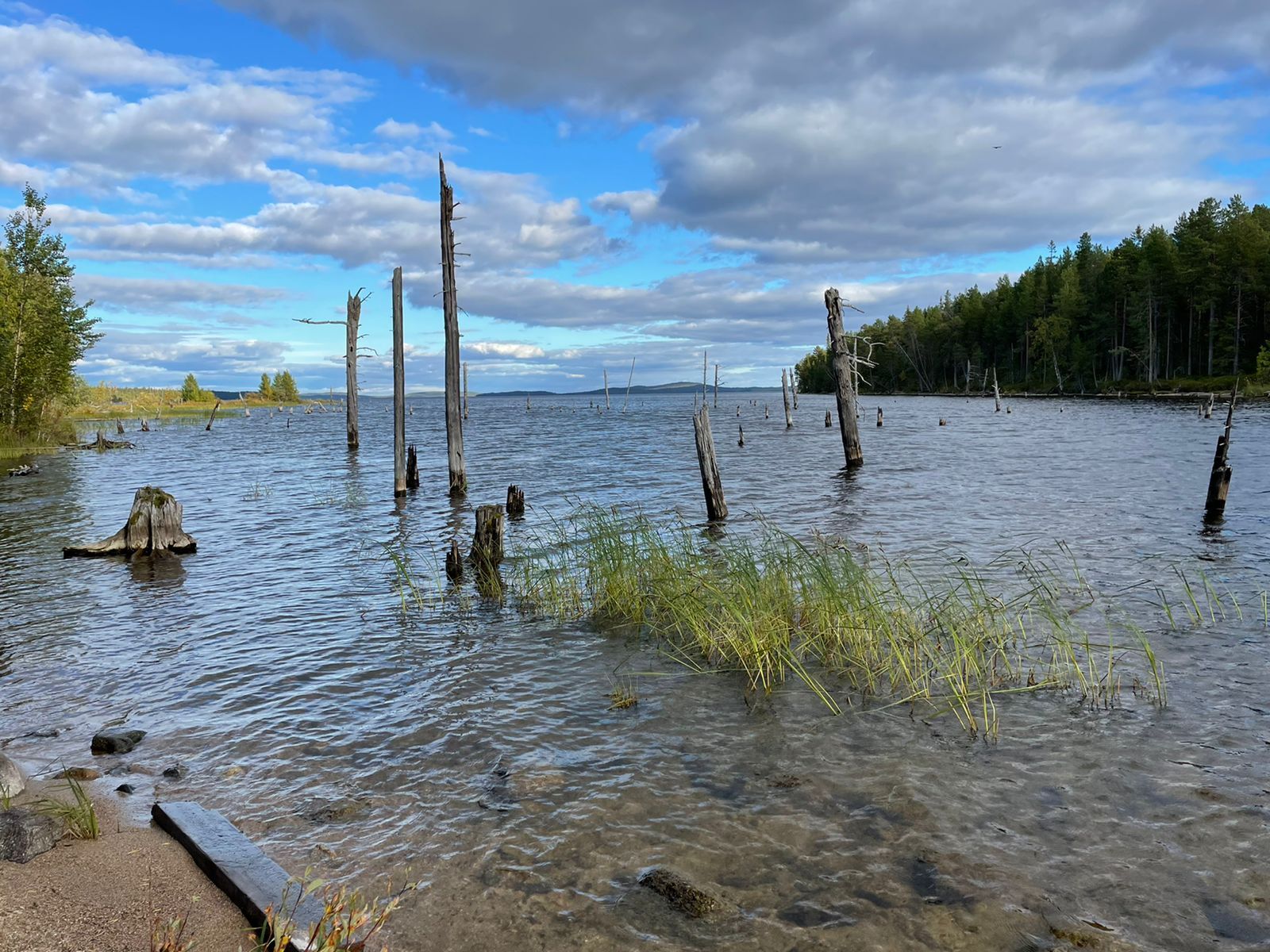 Beauty of Karelia. Pyaozero - My, Карелия, Nature, Longpost