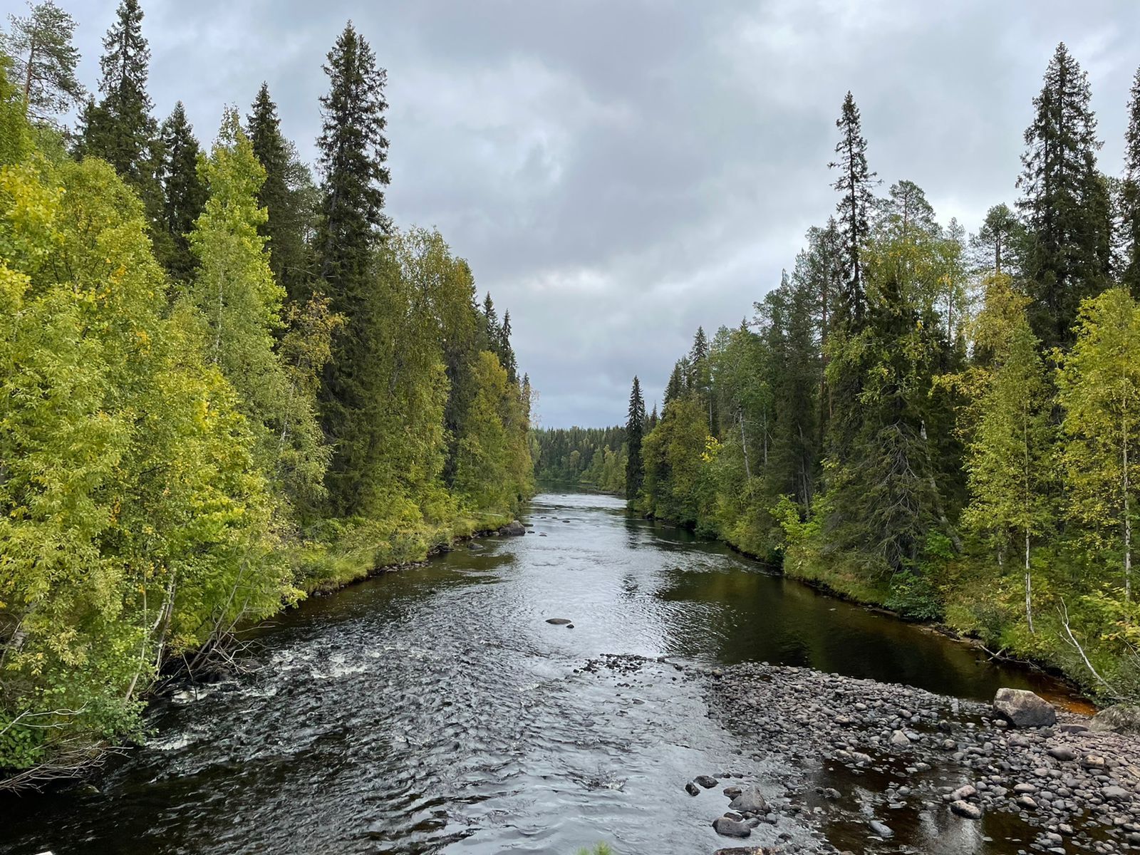 Beauty of Karelia. Pyaozero - My, Карелия, Nature, Longpost