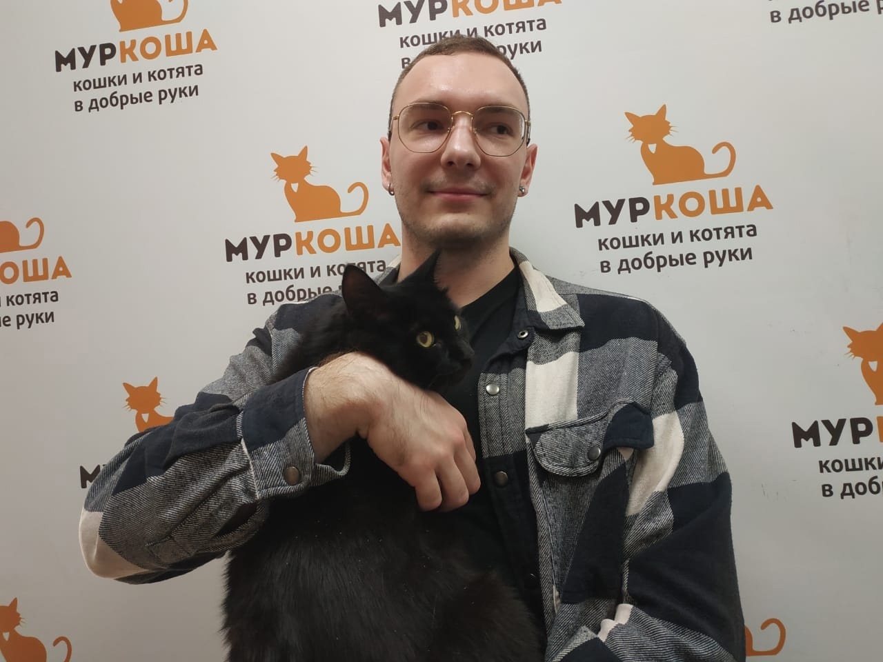 We are happy to share our successes with you. - My, Murkosh shelter, Animal shelter, cat, Making the World Better, Found a home, Positive, Video, Youtube, Longpost, Touching