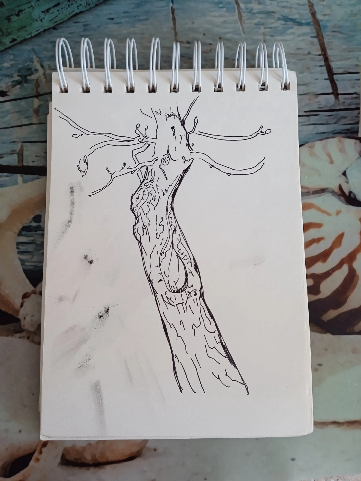 Tree sketches - My, Krasnodar, Graphics, Sketch, Art, Artist, Longpost