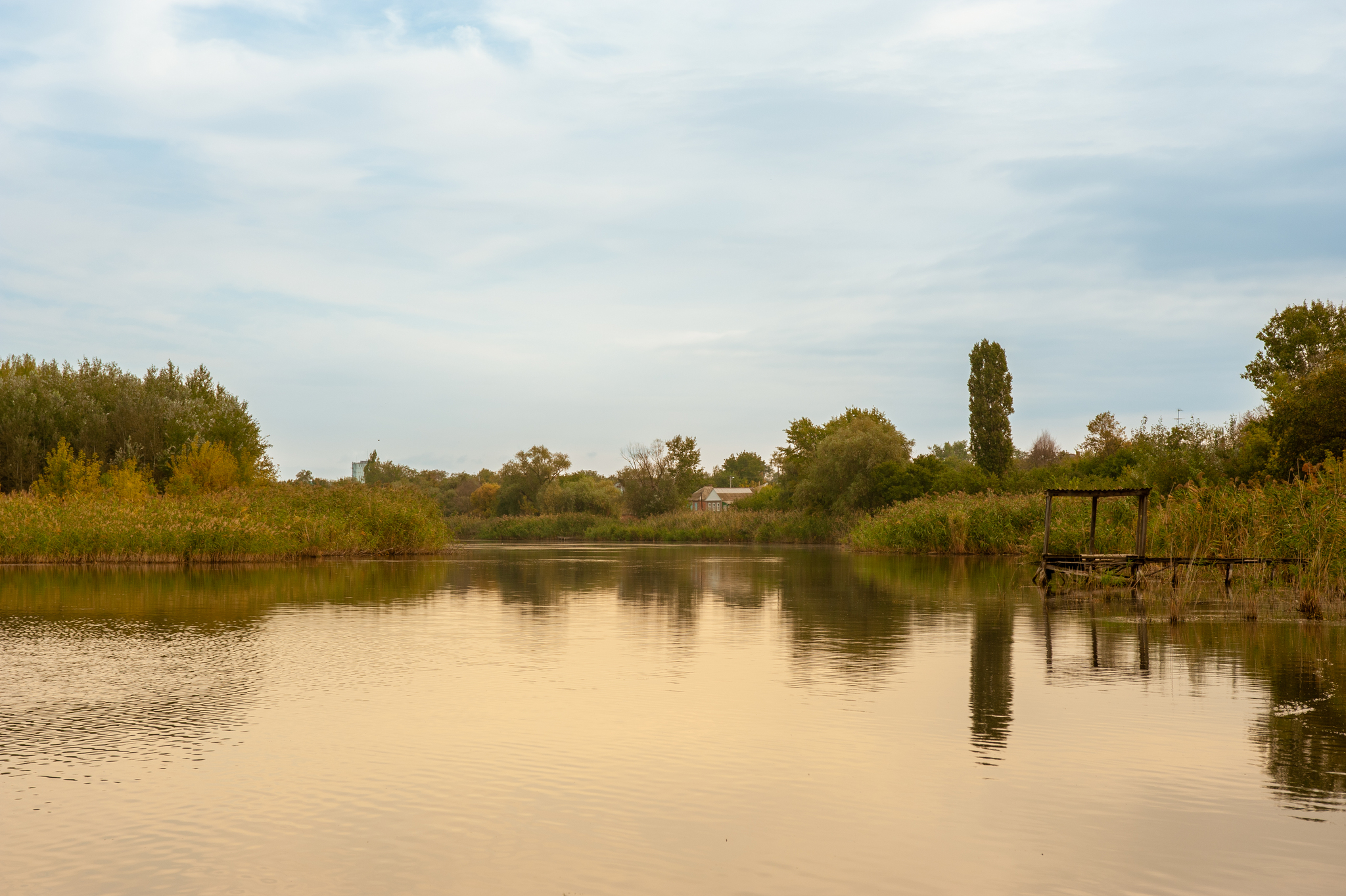 History of one fishing - My, Rostov-on-Don, Fishing, cat, Redheads, Morning, Mobile photography, Nikon, Video, Vertical video, Longpost, The photo