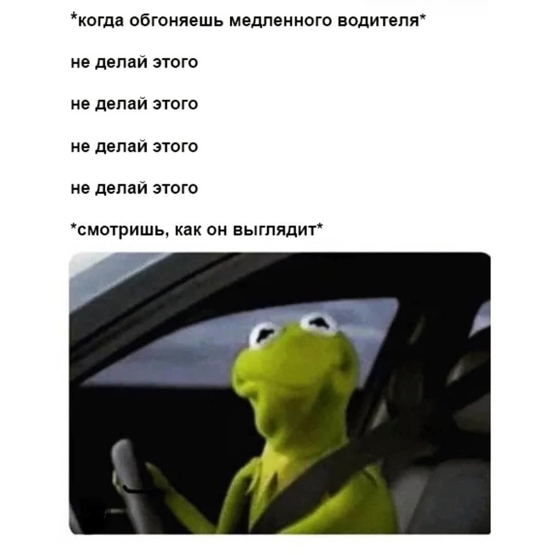 Can't resist - Humor, Picture with text, Memes, Kermit the Frog, Auto, Slow driving, Driver