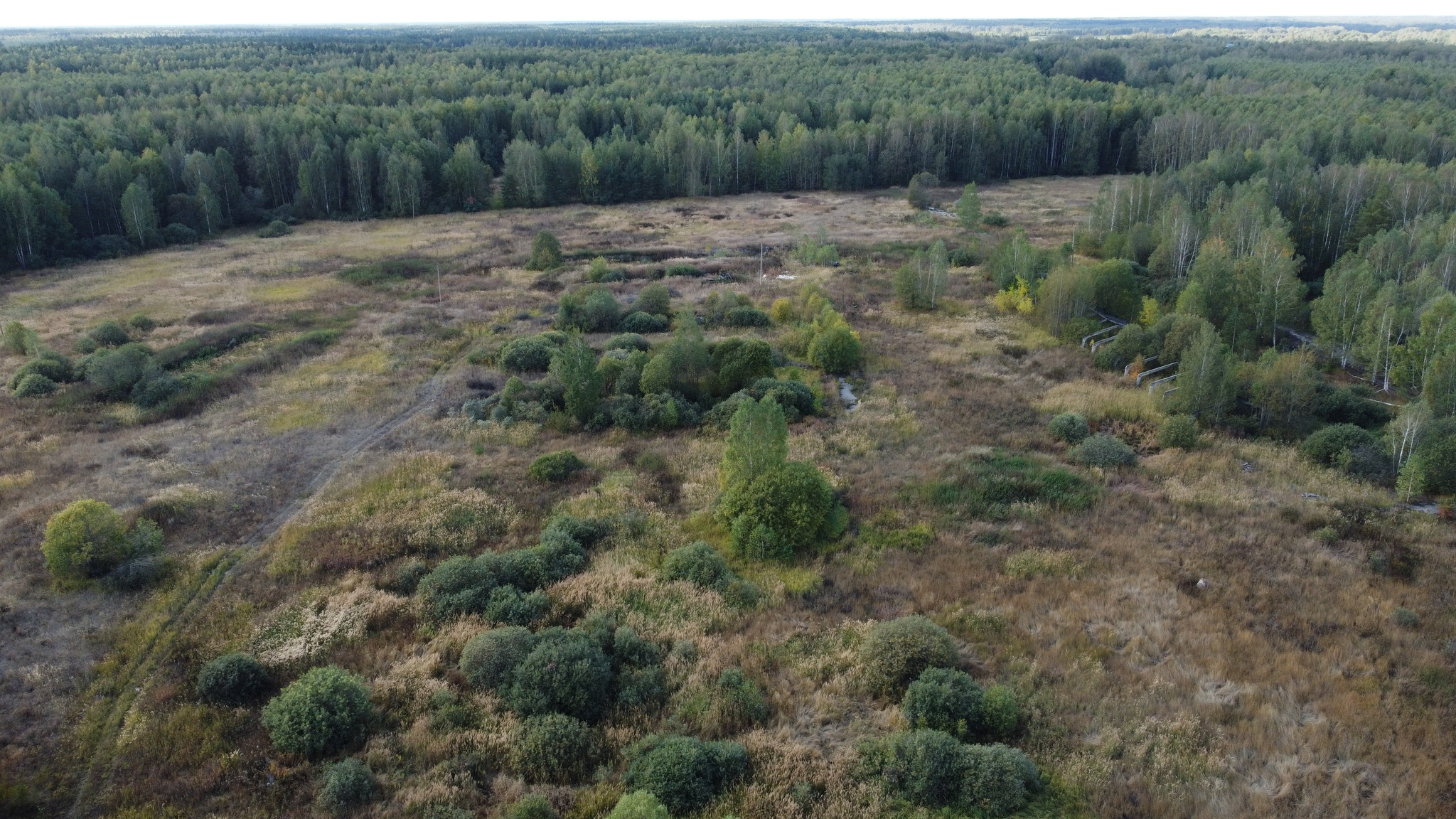 Flights near Ryazan - My, DJI mini 2, Dji, Quadcopter, Ryazan, Great, Meshchera, Drone, The photo, River, Longpost, Aerial photography