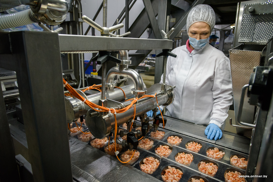 How the legendary Belarusian shrimps are produced - Informative, Shrimps, Republic of Belarus, Production, Onliner by, Longpost, Minsk Sea