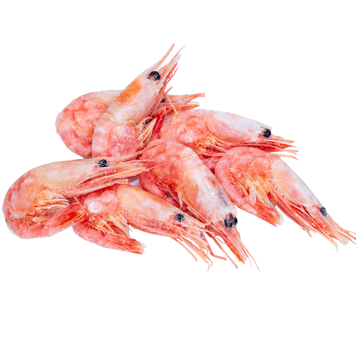 How the legendary Belarusian shrimps are produced - Informative, Shrimps, Republic of Belarus, Production, Onliner by, Longpost, Minsk Sea