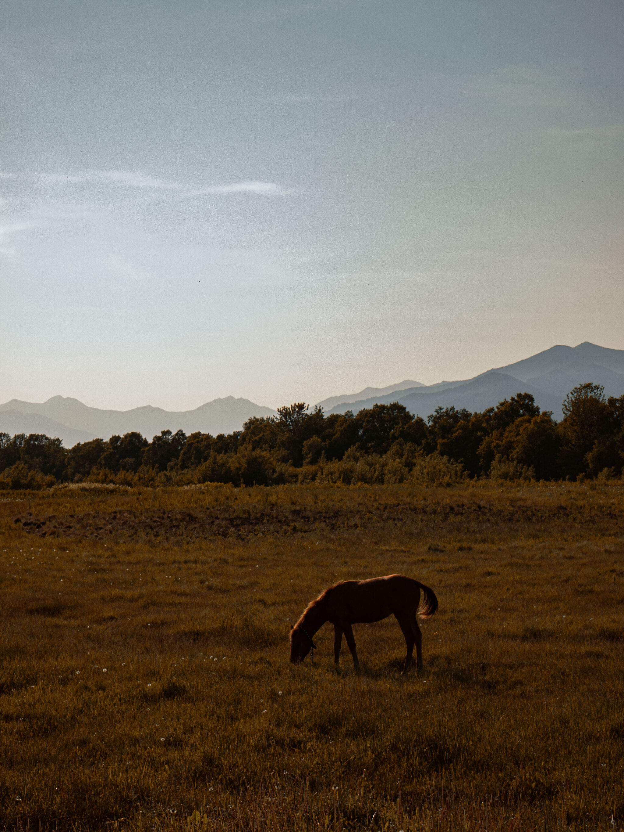 Kamchatka 2022 - My, The photo, Kamchatka, Volcano, The nature of Russia, Longpost