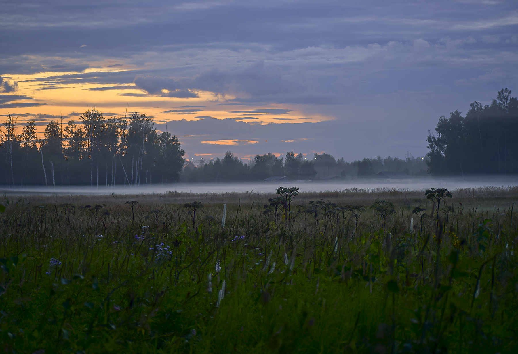Morning fog - The photo, Landscape, dawn, Fog, Morning, beauty of nature, Amur region, Nature