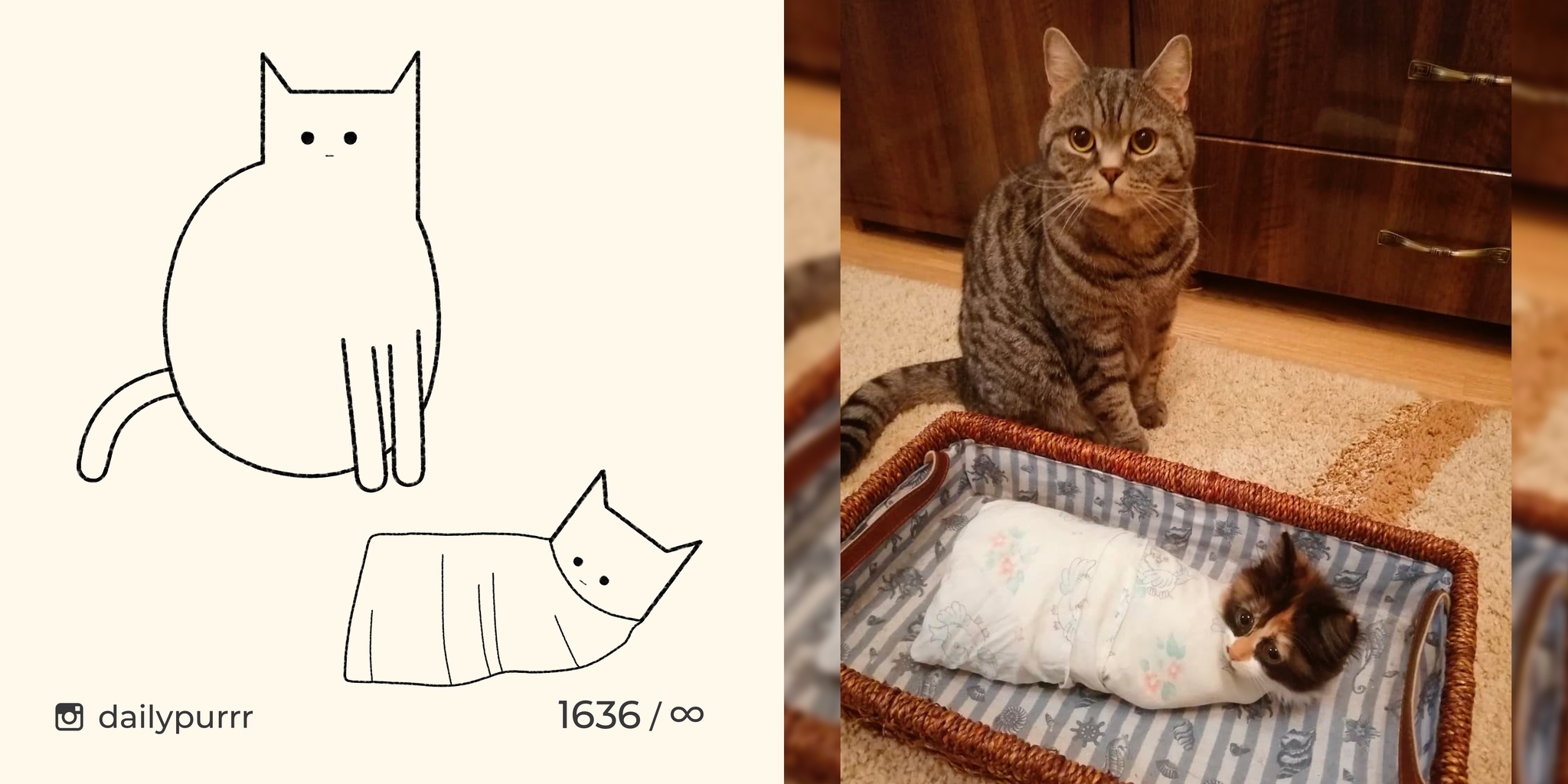 When friends asked to look after their child - My, cat, Drawing, Animals, Dailypurrr