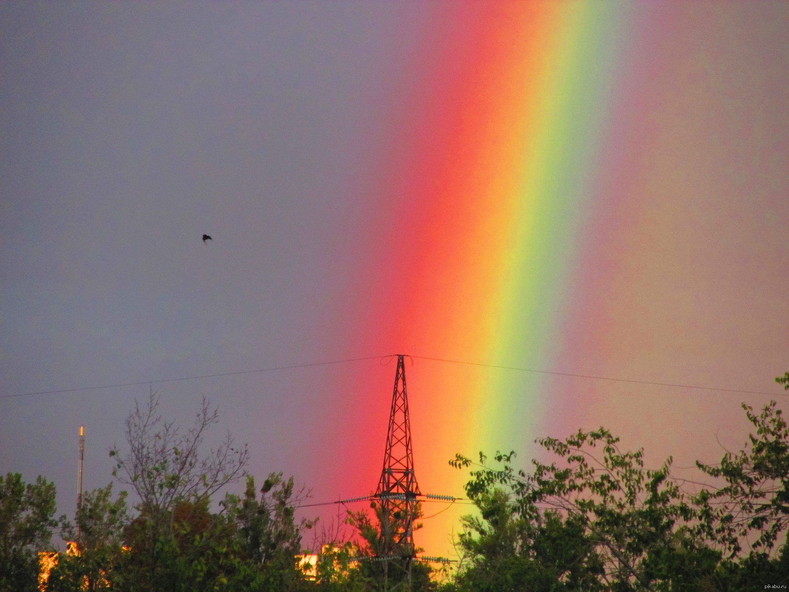 Rainbow - Rainbow, The photo