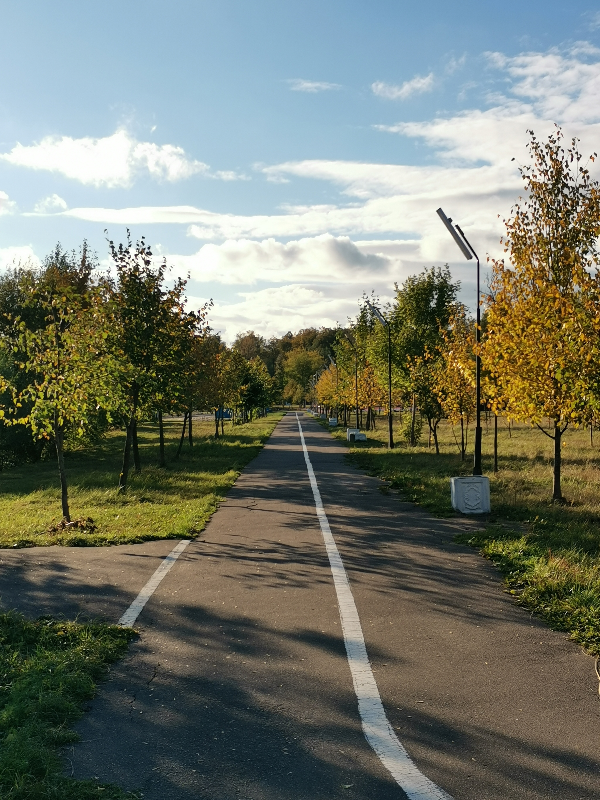 Walk with a camera - My, Autumn, Electric coals, The photo, Camera, Longpost, Walk