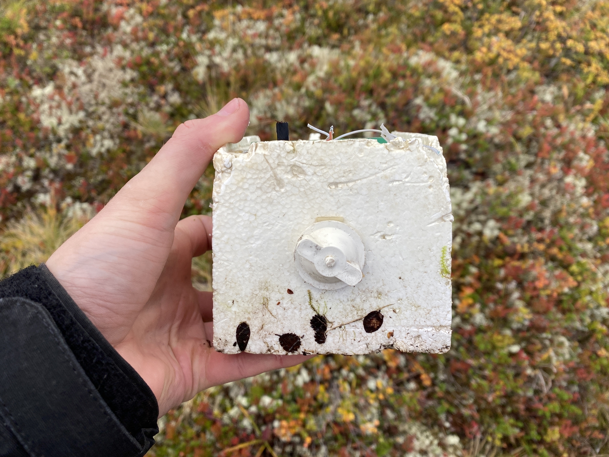 On the 3rd day of the trip along the Kola tundra, this device was found - My, Kola Peninsula, Device, Find, Longpost, What's this?