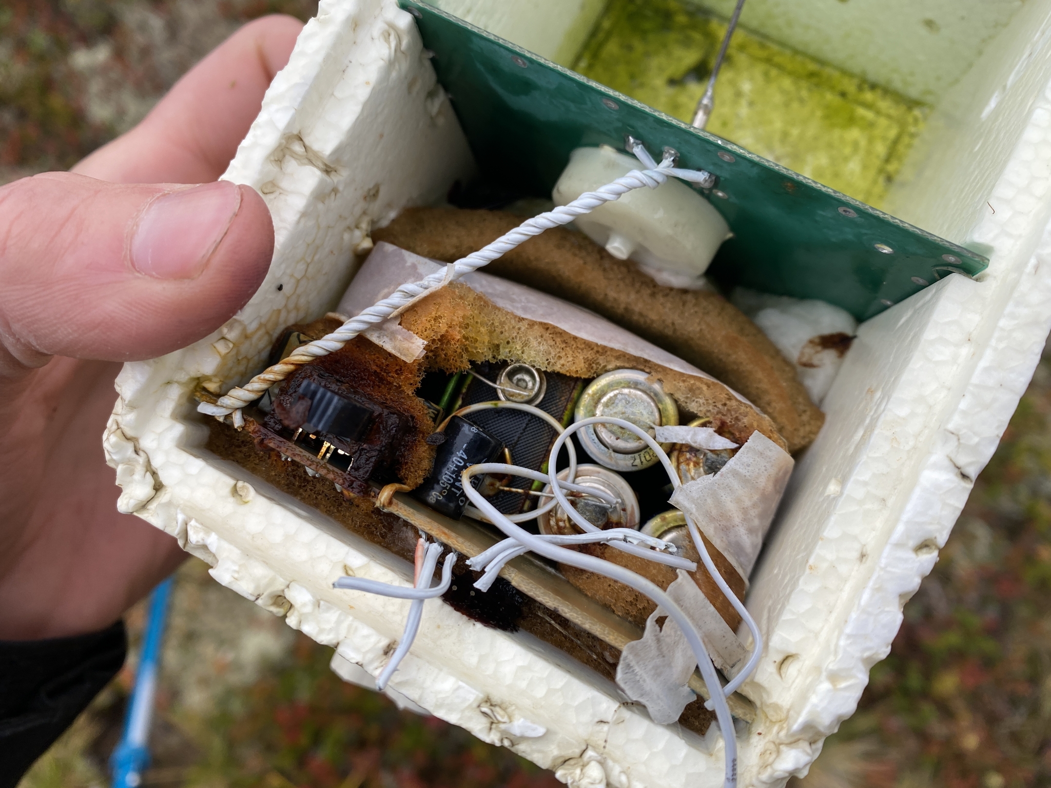 On the 3rd day of the trip along the Kola tundra, this device was found - My, Kola Peninsula, Device, Find, Longpost, What's this?