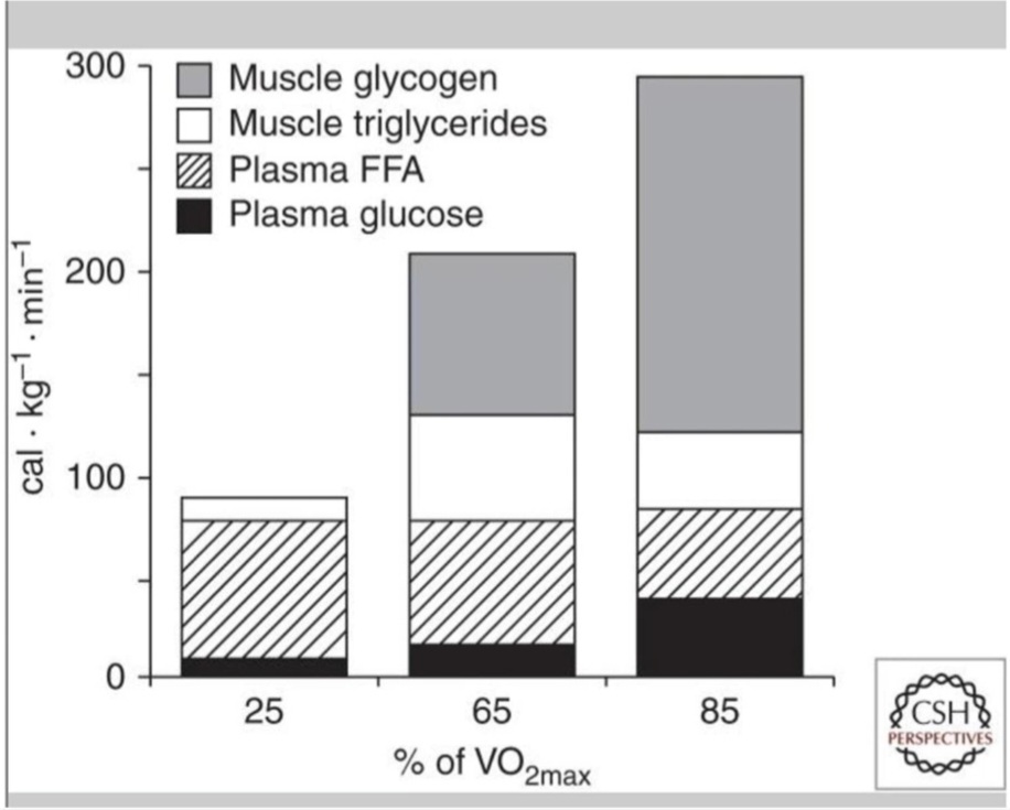 How our body spends energy substrates during aerobic exercise - My, Health, Slimming, Sport, Energy, Fat, Carbohydrates, Longpost, Activity