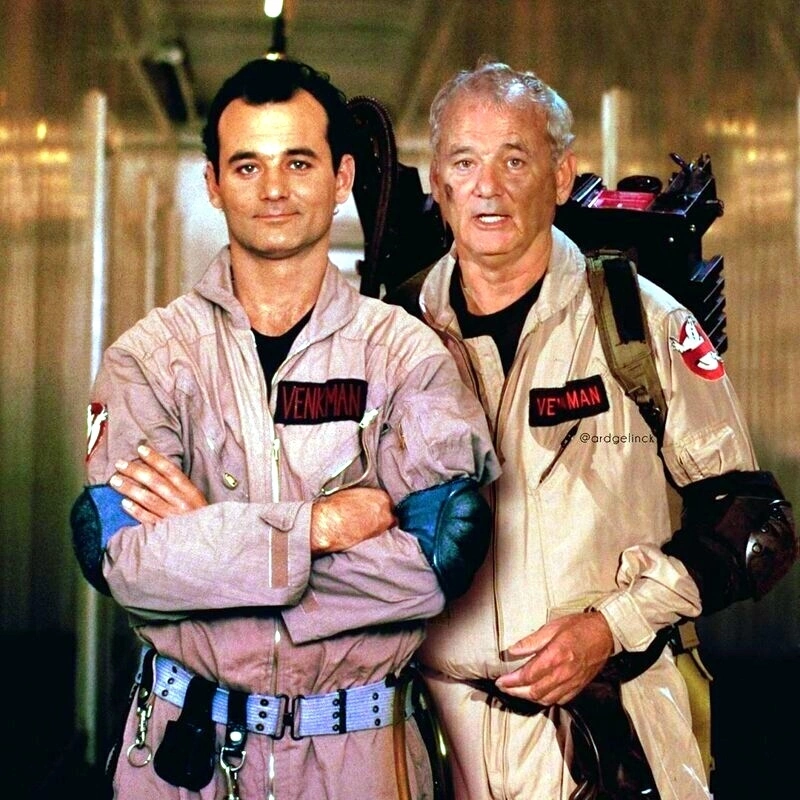 Bill Murray turns 72 - Actors and actresses, Bill Murray, Groundhog Day, Birthday, Celebrities