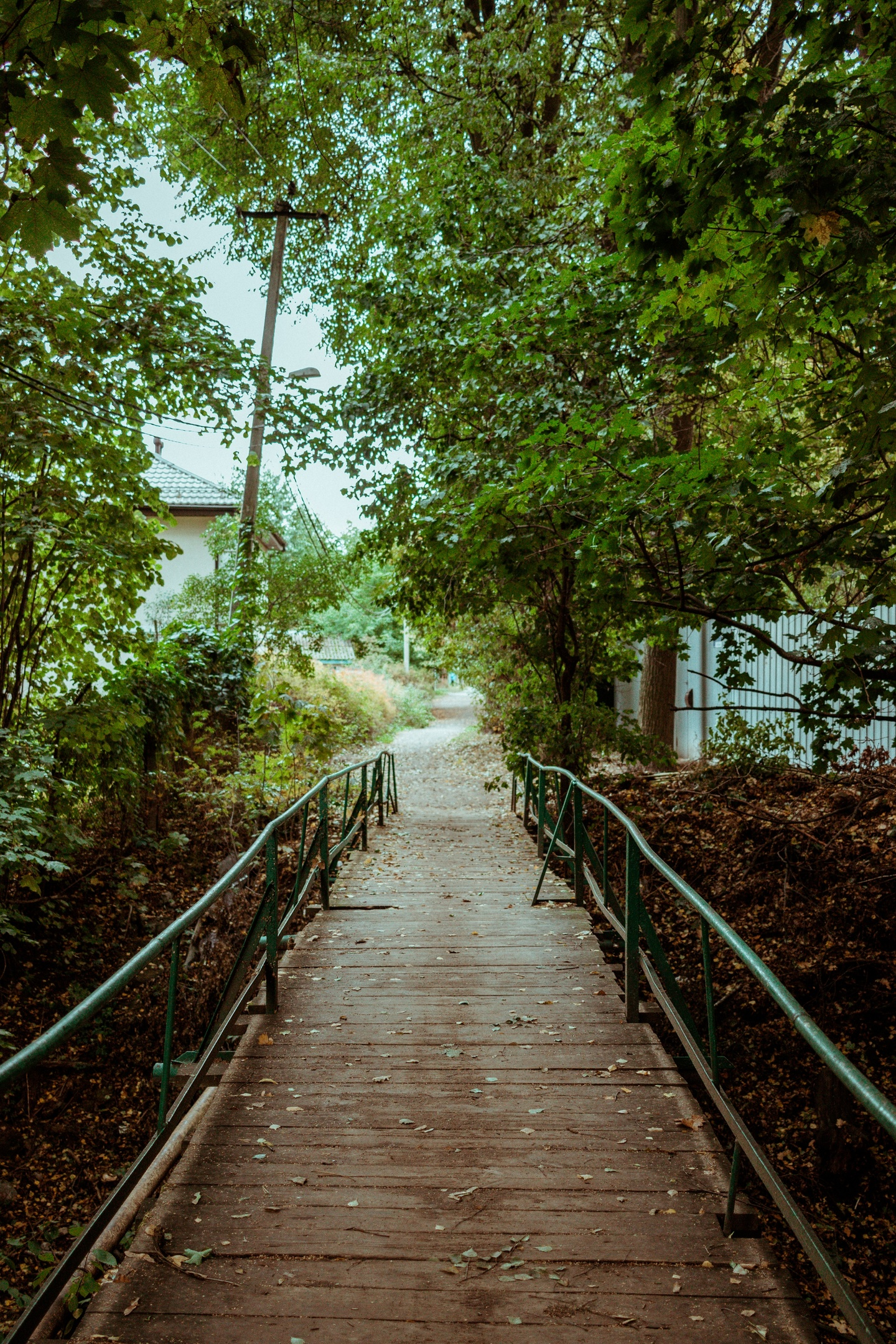 Walk around the area - My, Canon, The photo, Landscape, Autumn, Forest, Road, Longpost