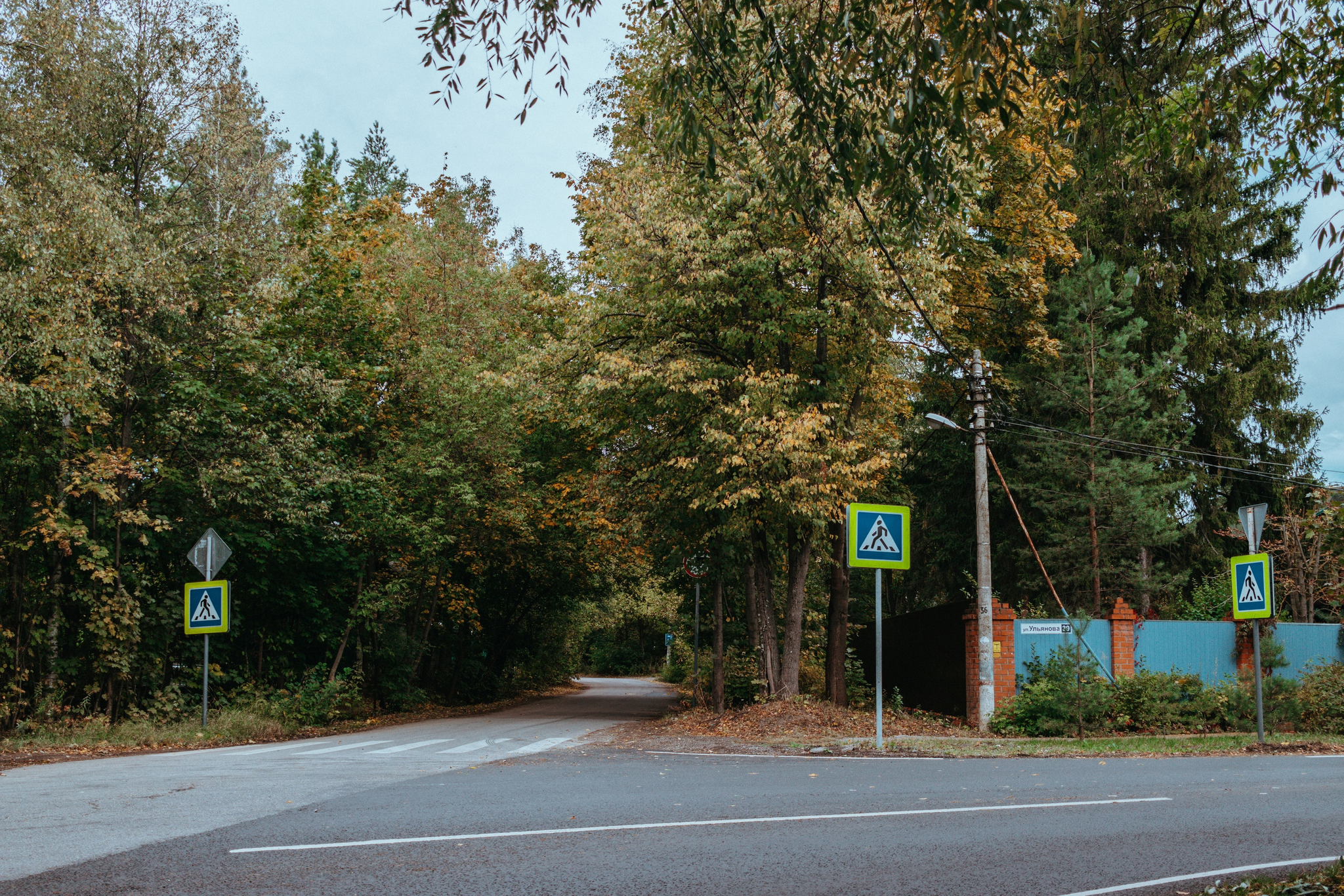 Walk around the area - My, Canon, The photo, Landscape, Autumn, Forest, Road, Longpost