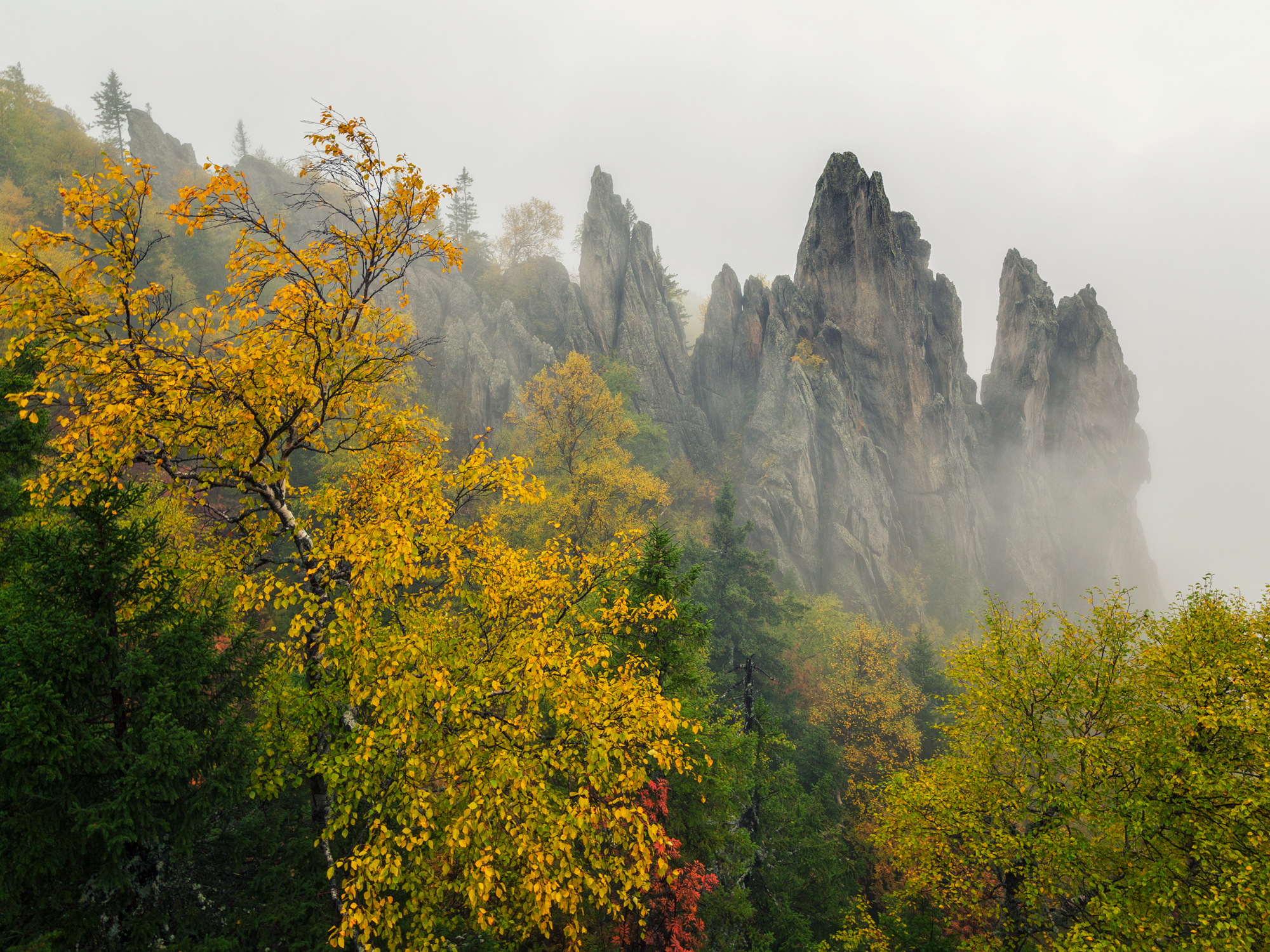 Autumn on Taganay - My, Autumn, The mountains, Fog, Nature, Taganay, The photo