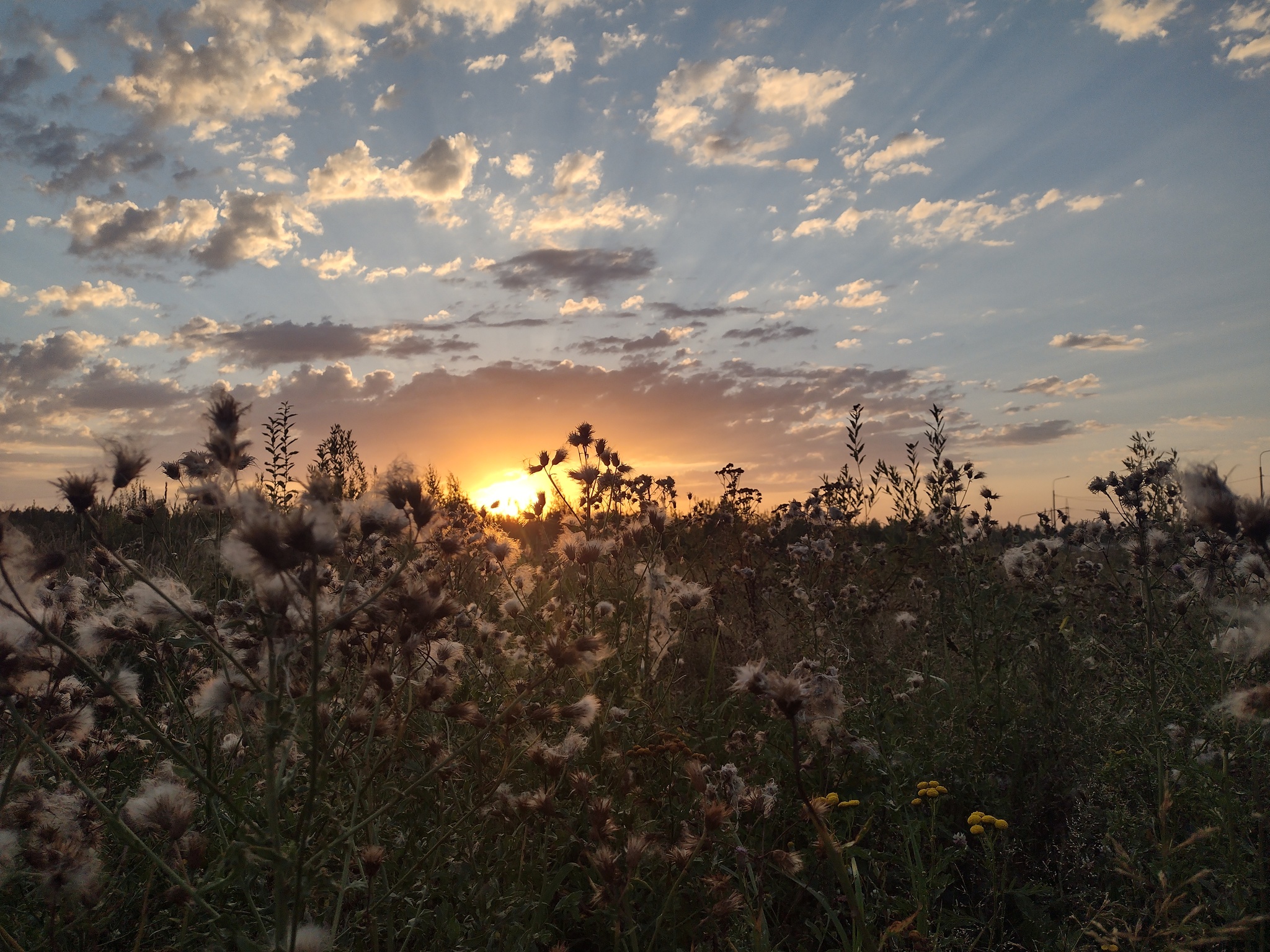 Summer - My, Mobile photography, Photo on sneaker, Nature, Sunset, Russia, Longpost