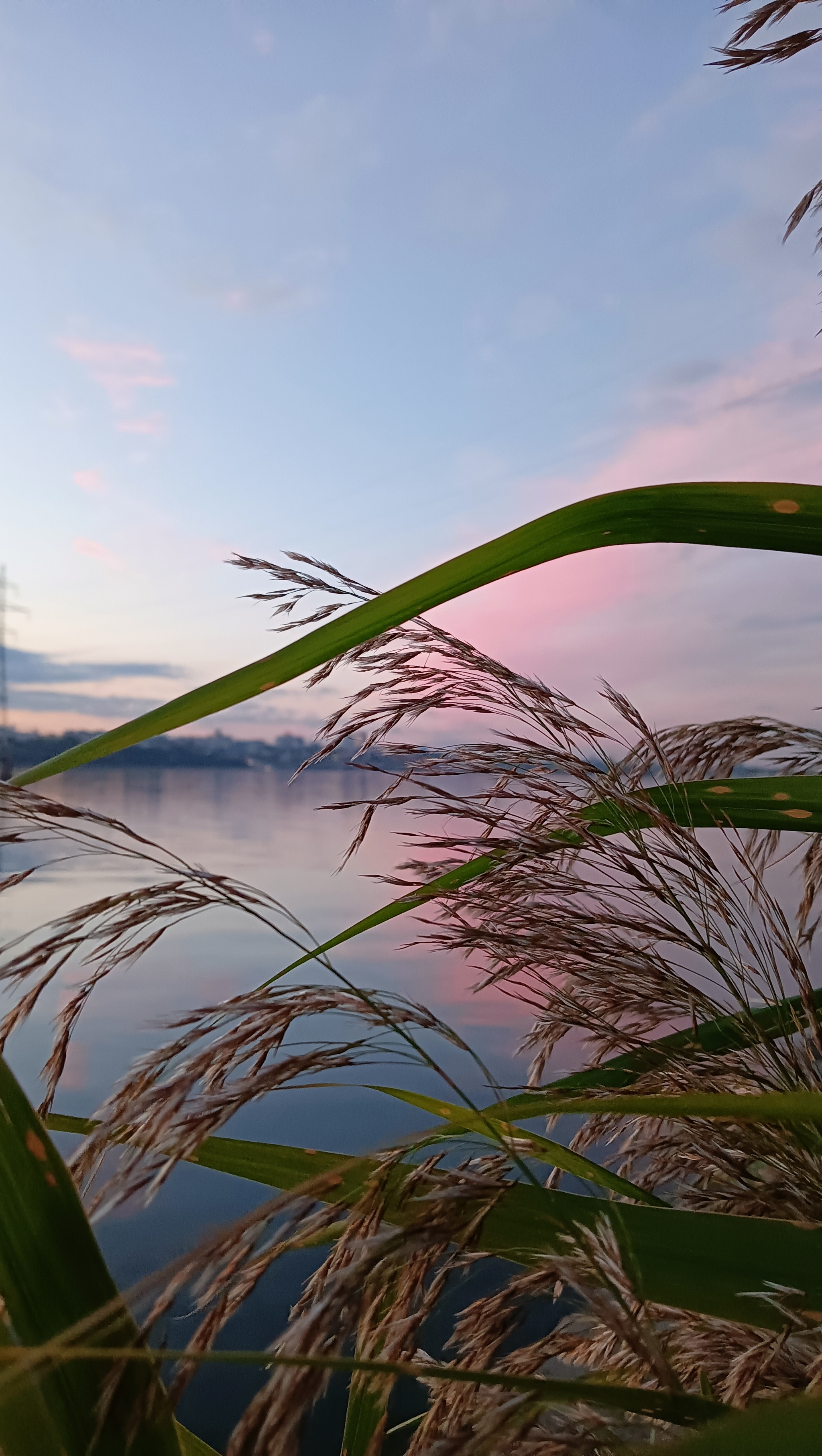 Sunset in Voronezh and beyond - My, Sunset, Voronezh, Autumn, Longpost