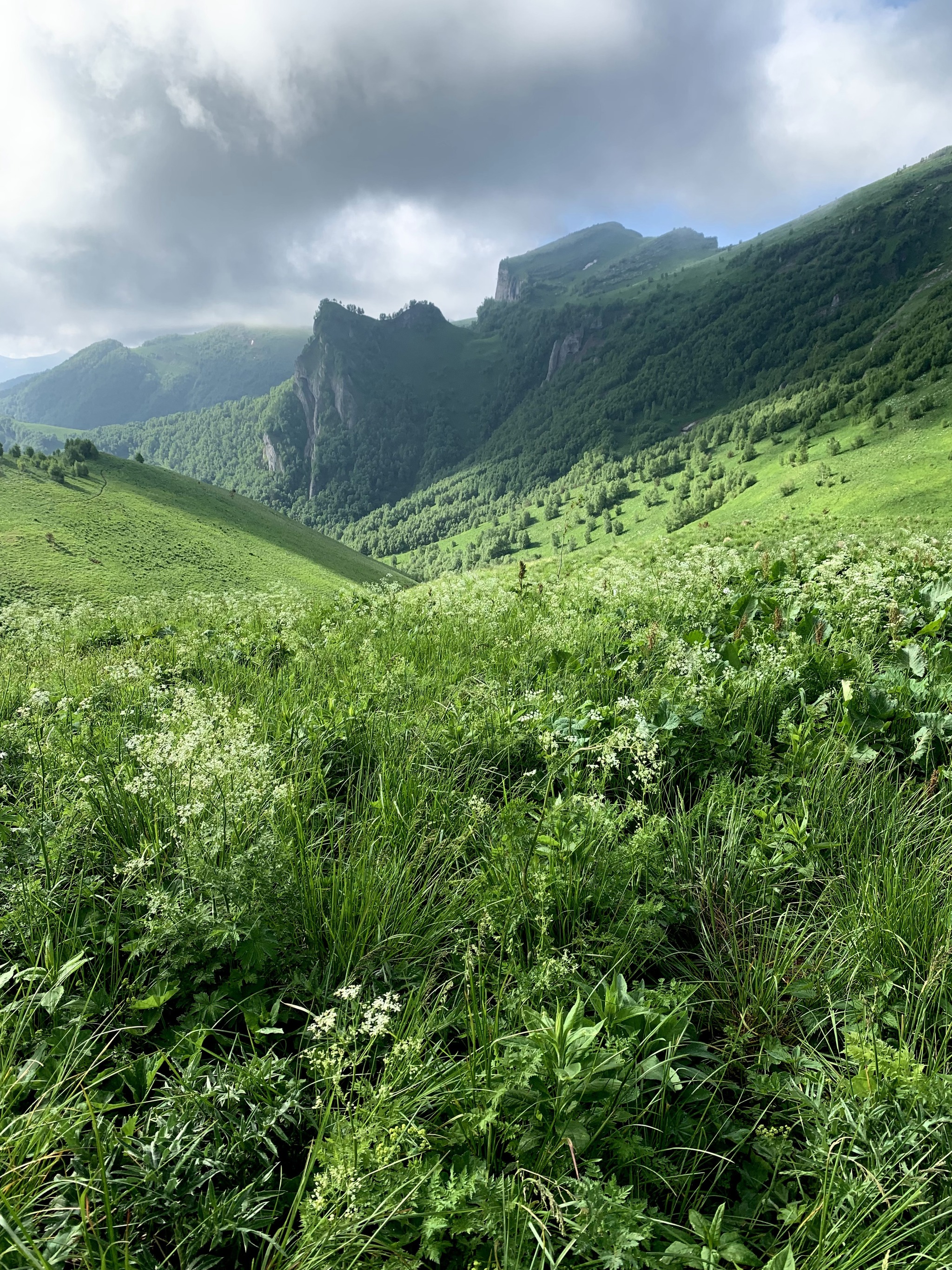 Walk around the neighborhood of Big Thach - My, Big Thach, Republic of Adygea, Caucasus, dawn, The rocks, Hike, Fog, Longpost, Travel across Russia