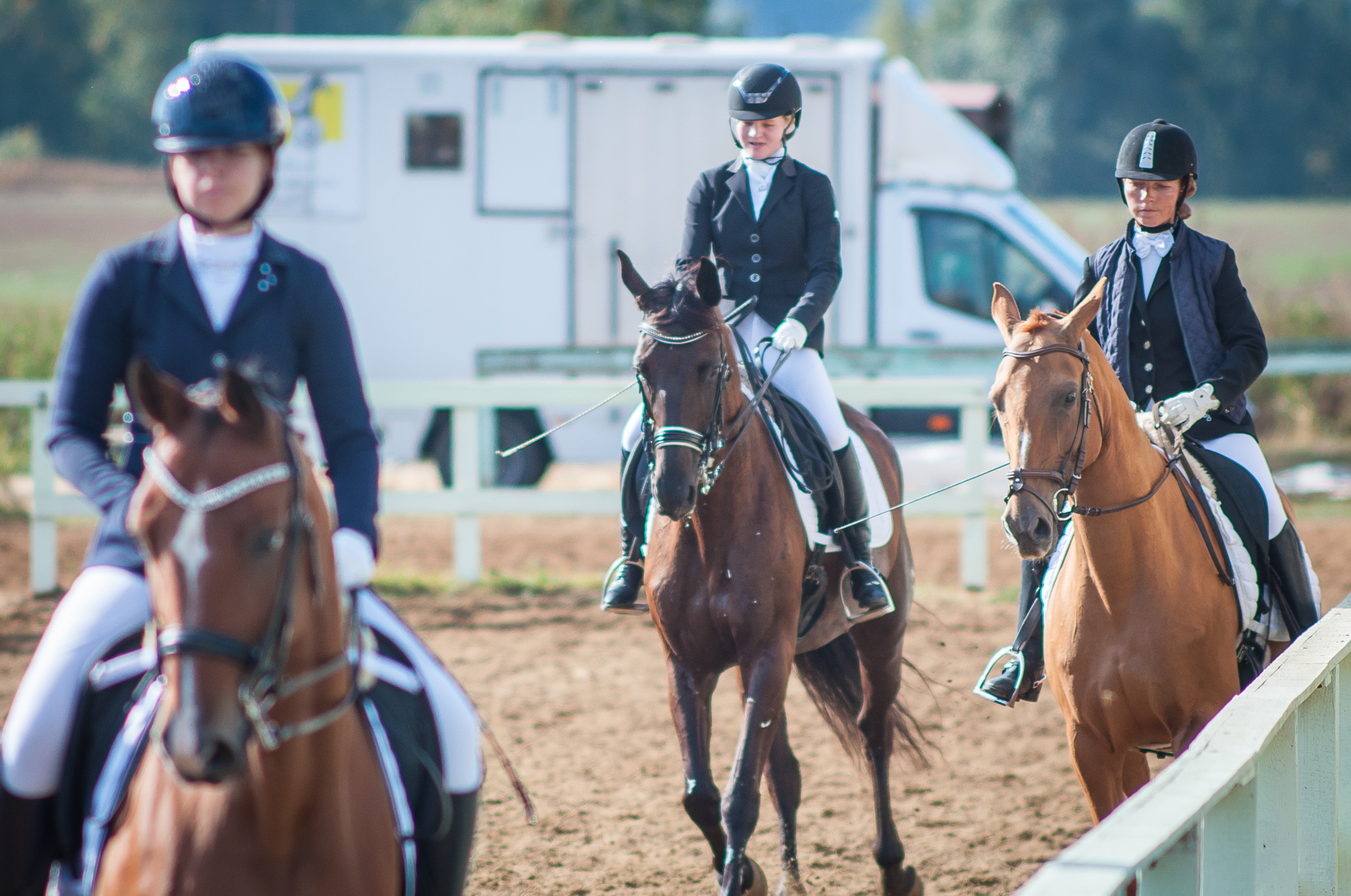 Again about photography - My, Horses, The photo, Longpost