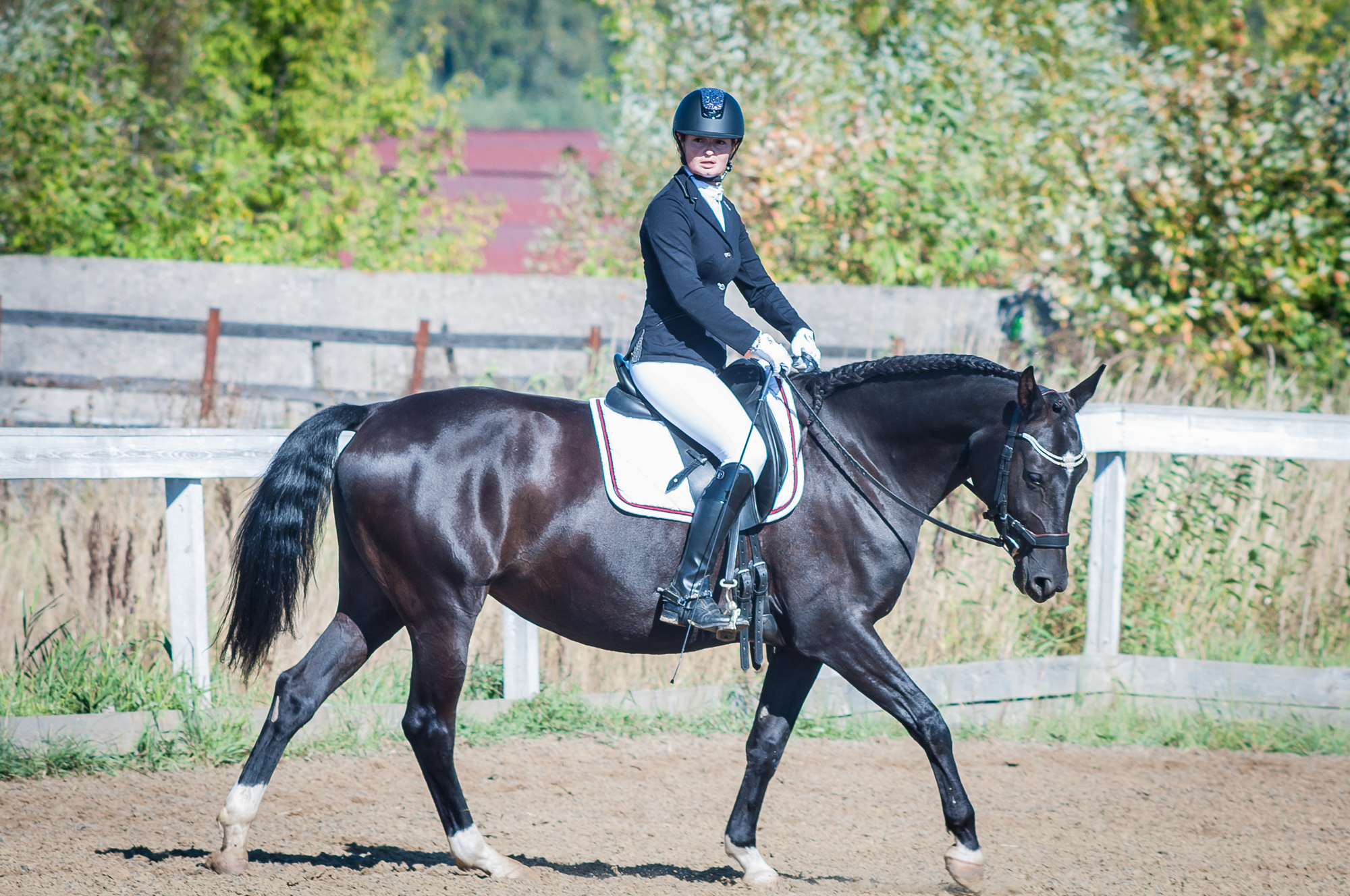 Again about photography - My, Horses, The photo, Longpost