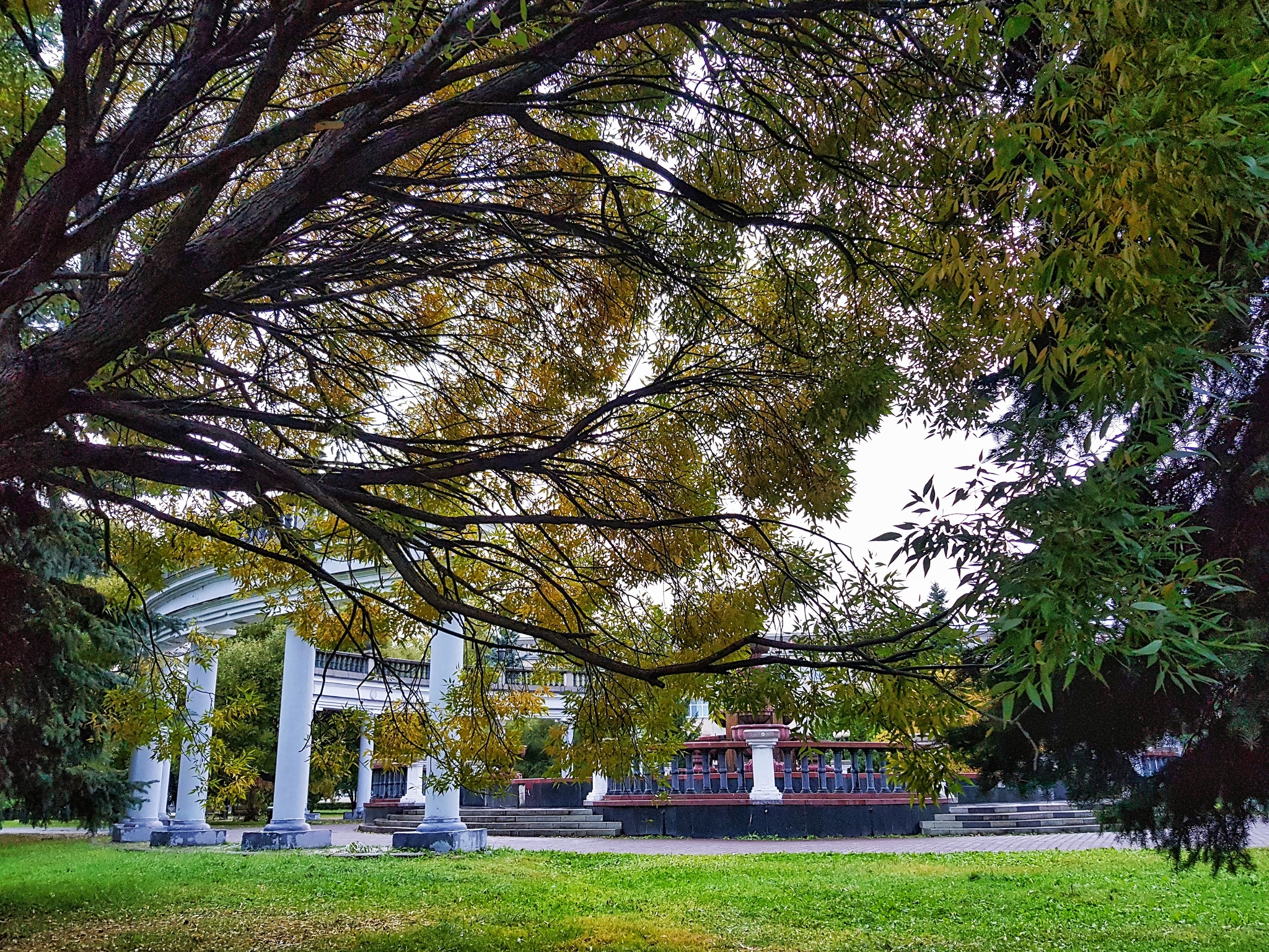 Garden of Metallurgists, Novokuznetsk - My, Autumn, Novokuznetsk, Mobile photography