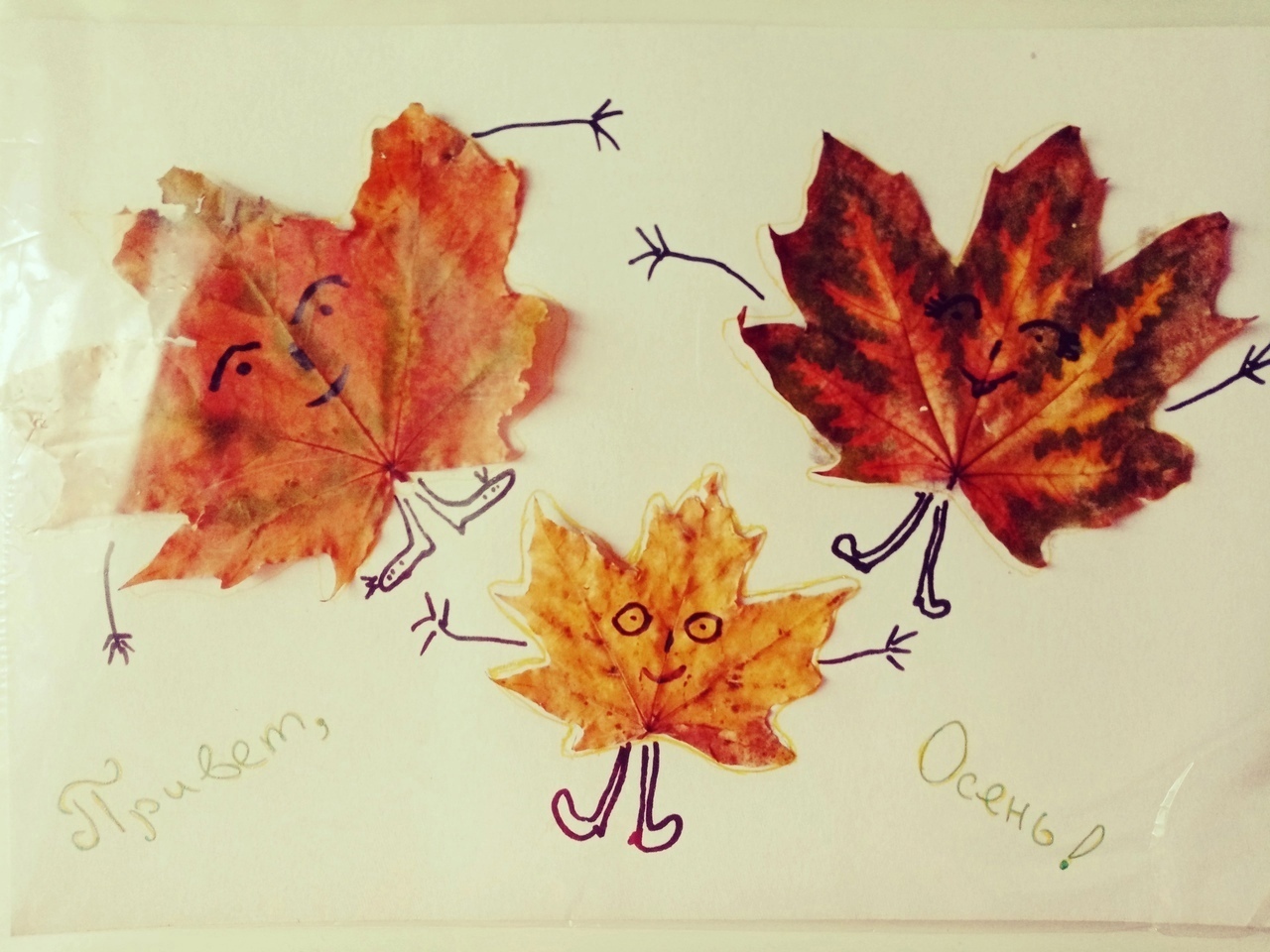 A piece of autumn and positive - My, For children, Crafts, Creation, With your own hands, Autumn, Leaves, Friday tag is mine