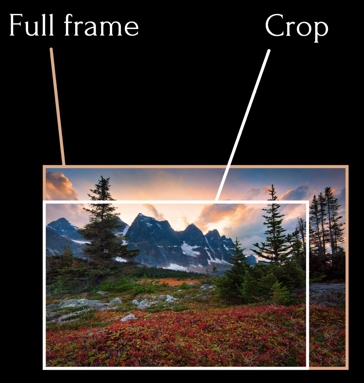 Full frame vs crop? What matrix to choose? - My, Photographer, The photo, Photography lessons, Longpost, Beginning photographer