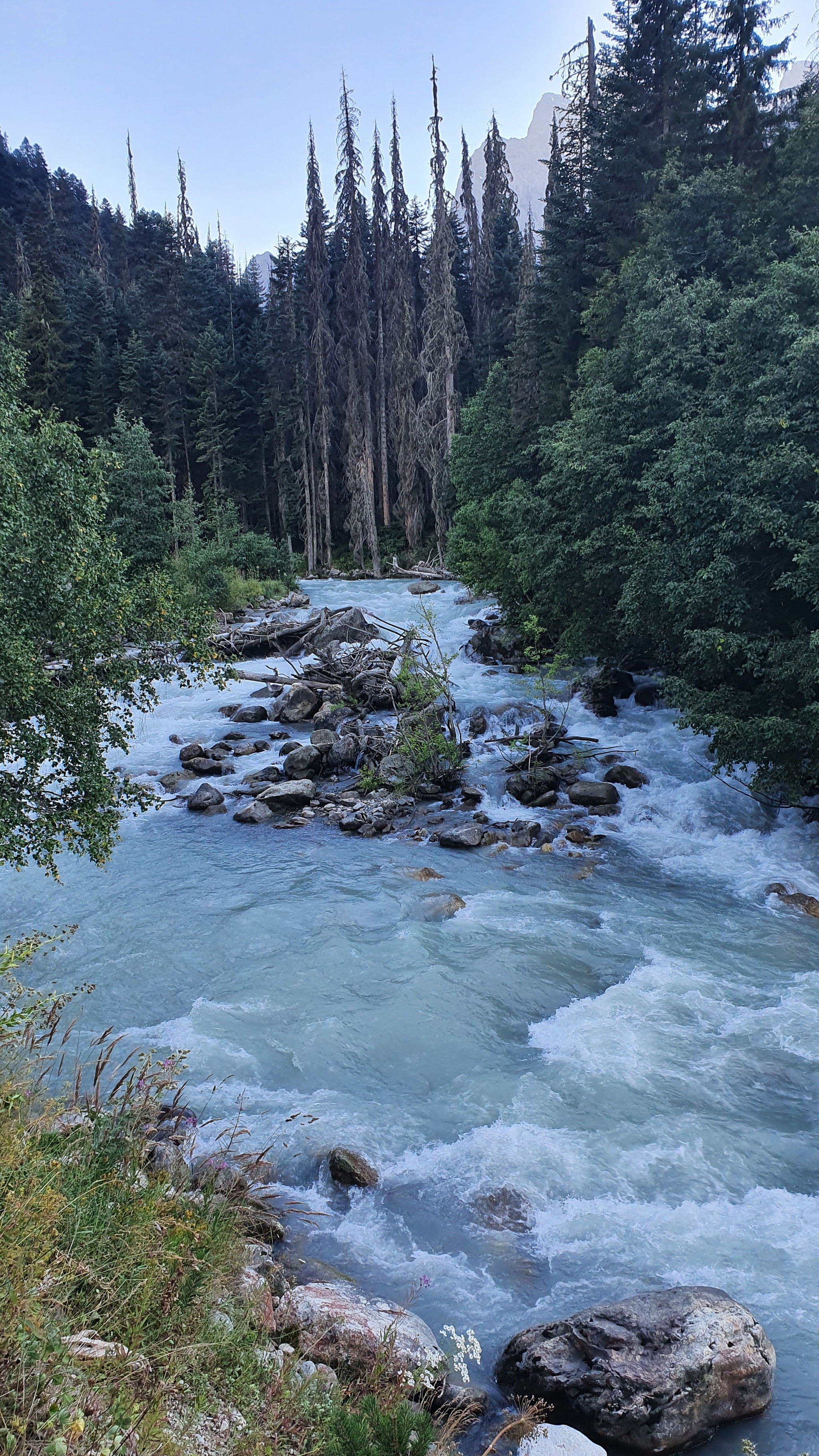 Oh mountains, oh mountain rivers... - My, Dombay, Gonachhir, Amanauz, The mountains, River, Longpost