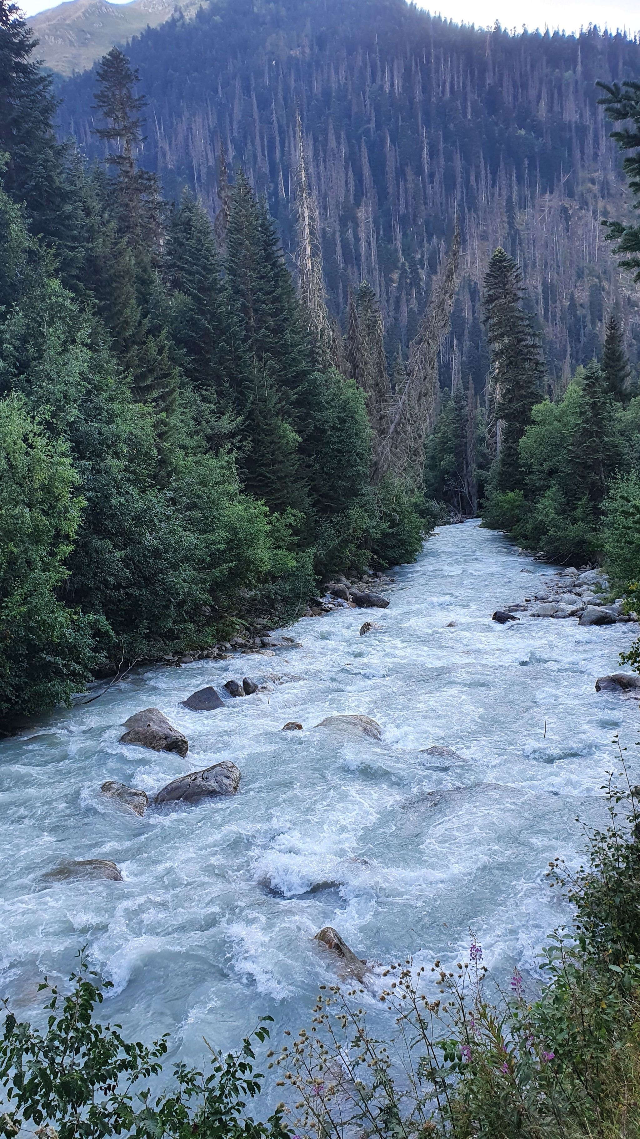 Oh mountains, oh mountain rivers... - My, Dombay, Gonachhir, Amanauz, The mountains, River, Longpost