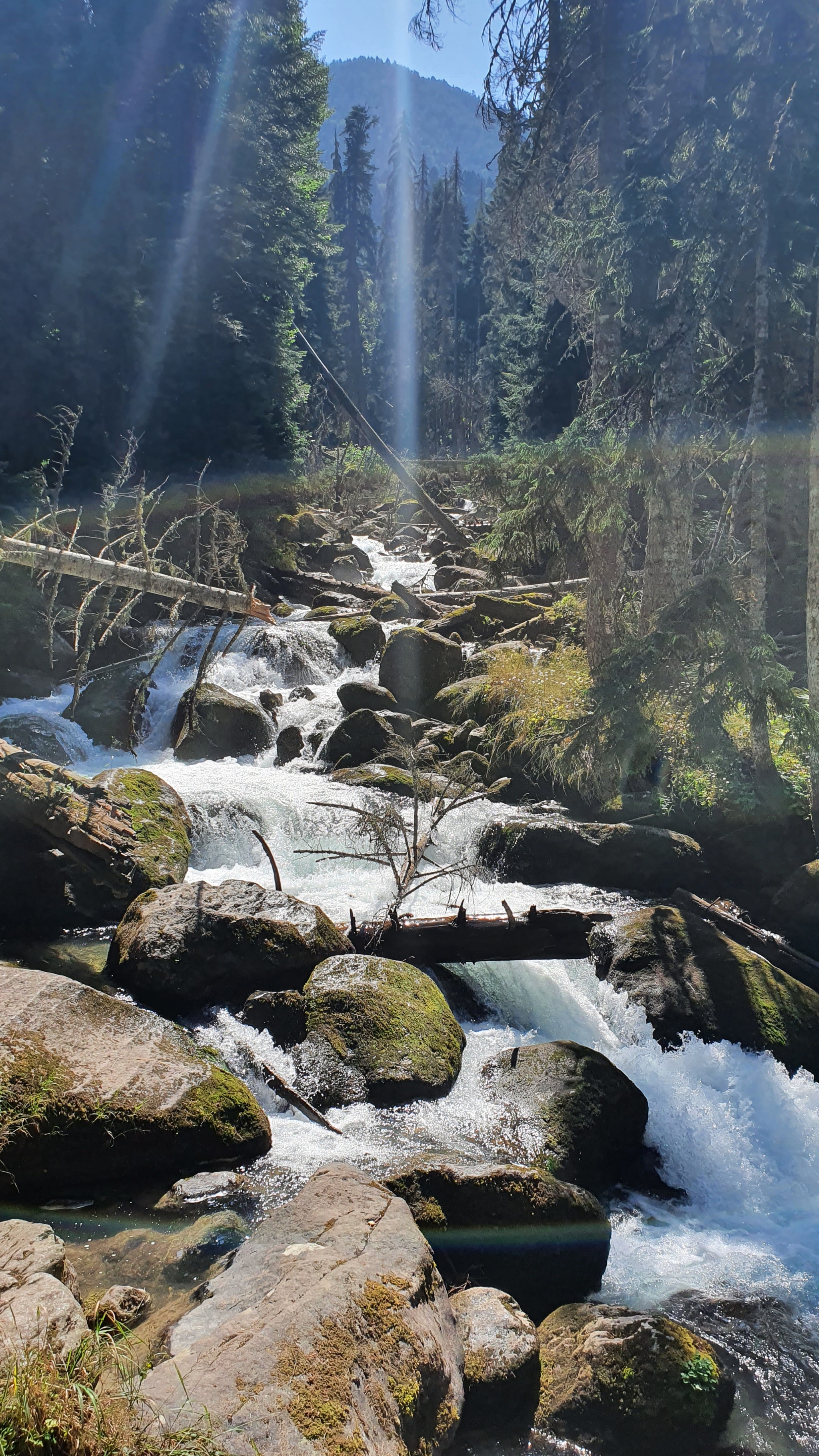 Oh mountains, oh mountain rivers... - My, Dombay, Gonachhir, Amanauz, The mountains, River, Longpost