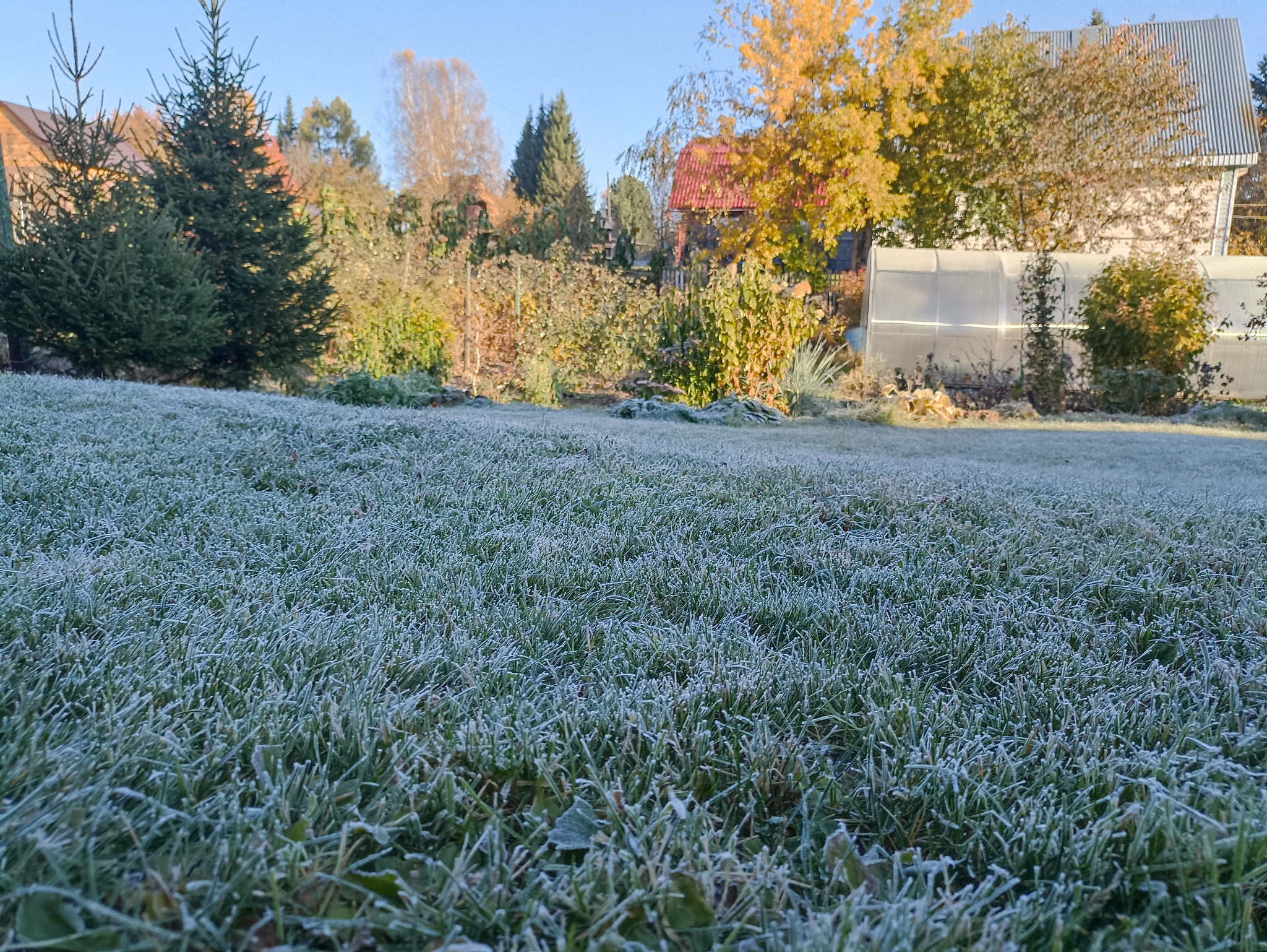 Morning in Siberia - My, Siberia, Nature, Morning, Autumn, Frost