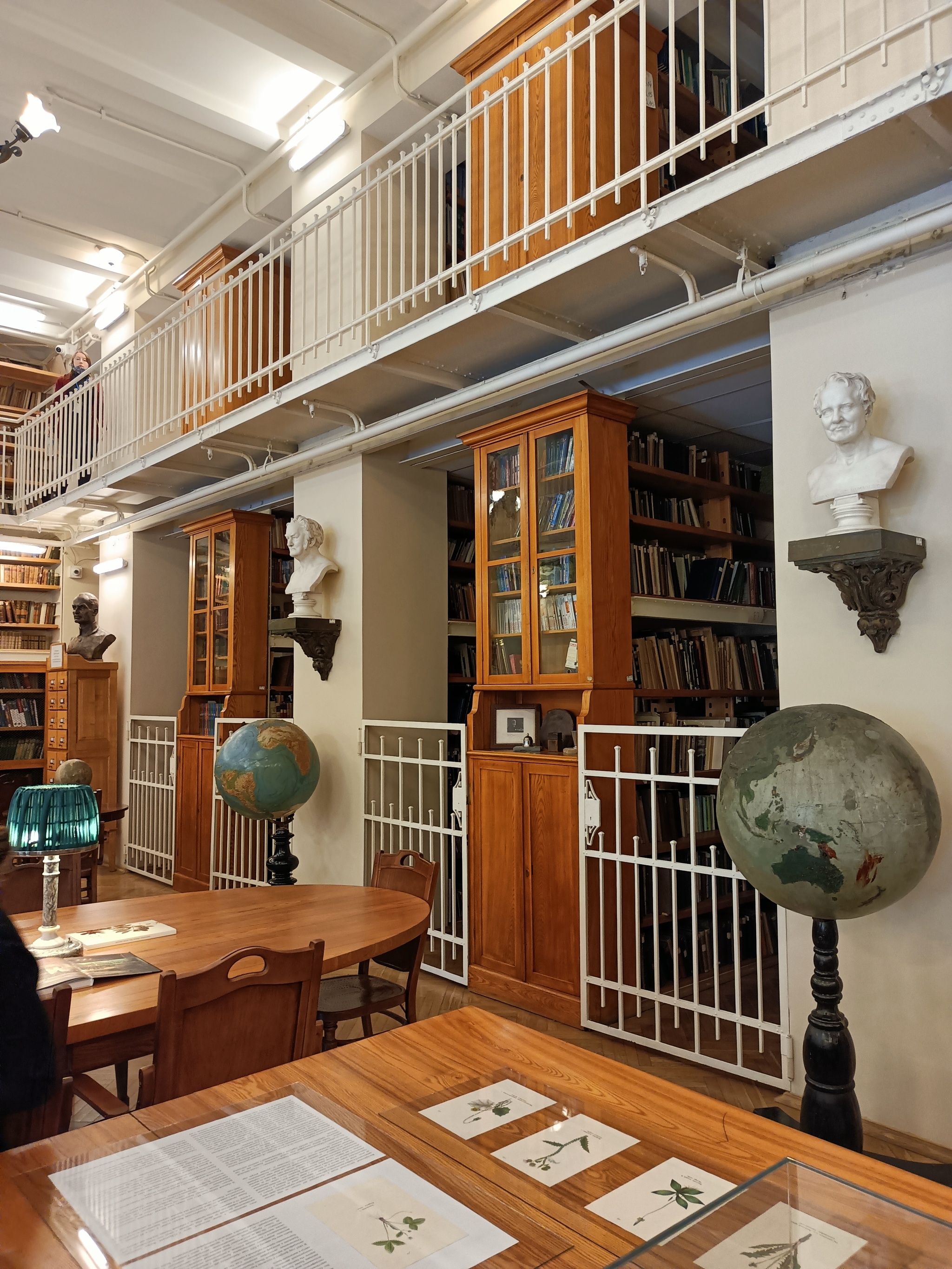 Library at the Russian Geographical Society in St. Petersburg - My, Mobile photography, Saint Petersburg, Library, Old man, Exhibit, Tree, Books, Archaeological finds, Geography, Travels, Research, Longpost, Russian Geographical Society