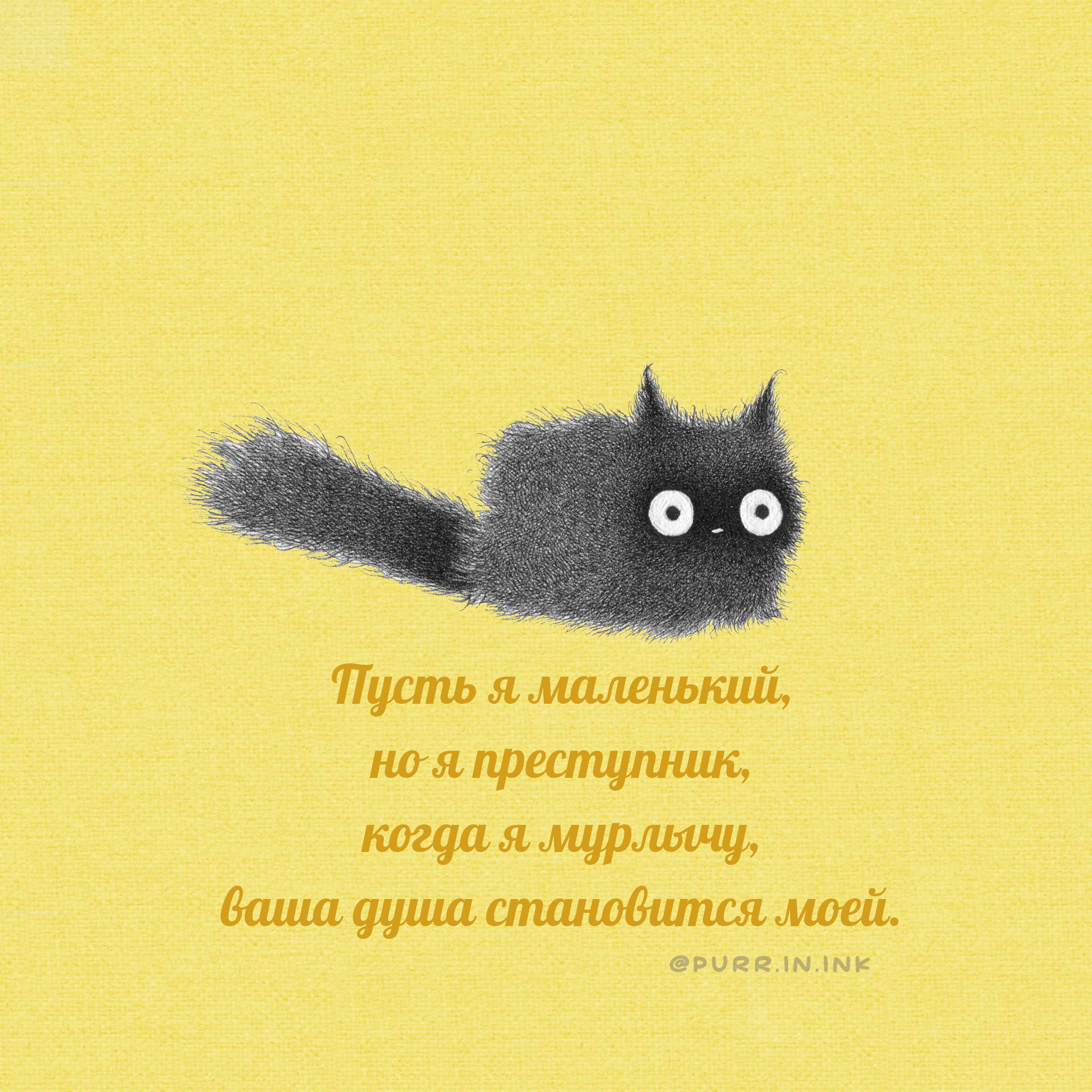 4 purr. Purr Purr перевод.