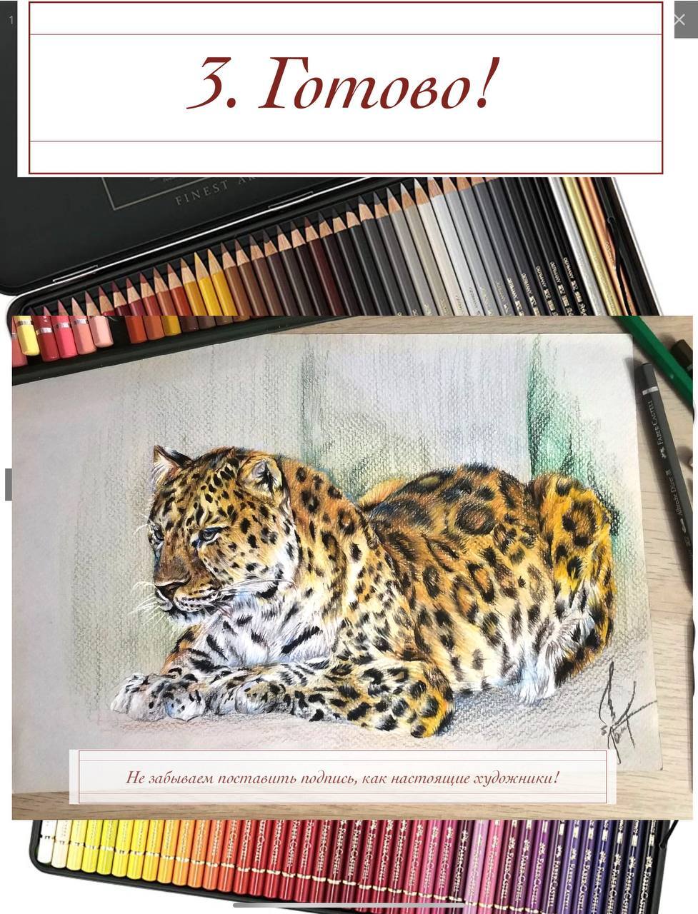 Master class Colored pencils. - My, Far Eastern leopard, Drawing lessons, Drawing, Art, Holidays, Sketch, Beginner artist, Sketch, Watercolor pencils, Big cats, Pencil drawing, Traditional art, Longpost