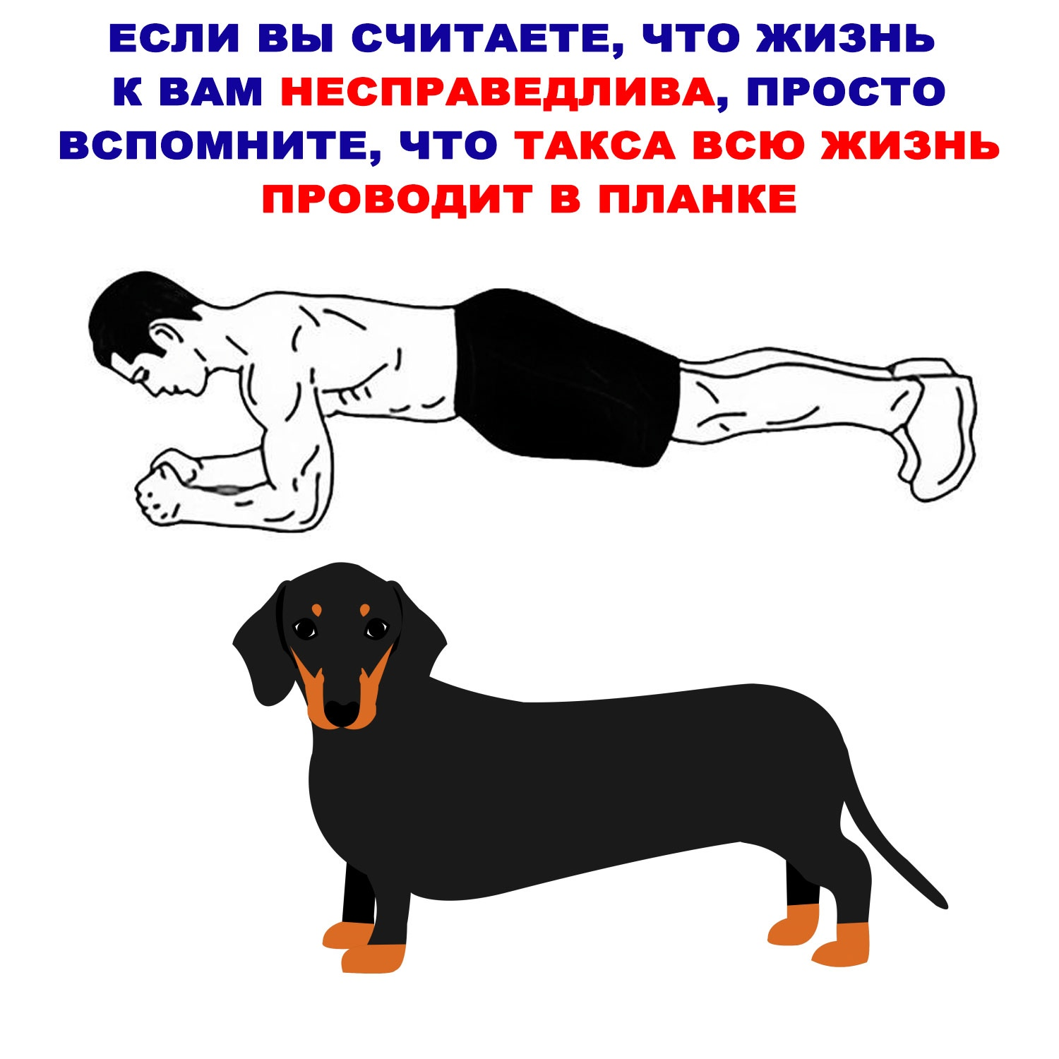 Такса мем