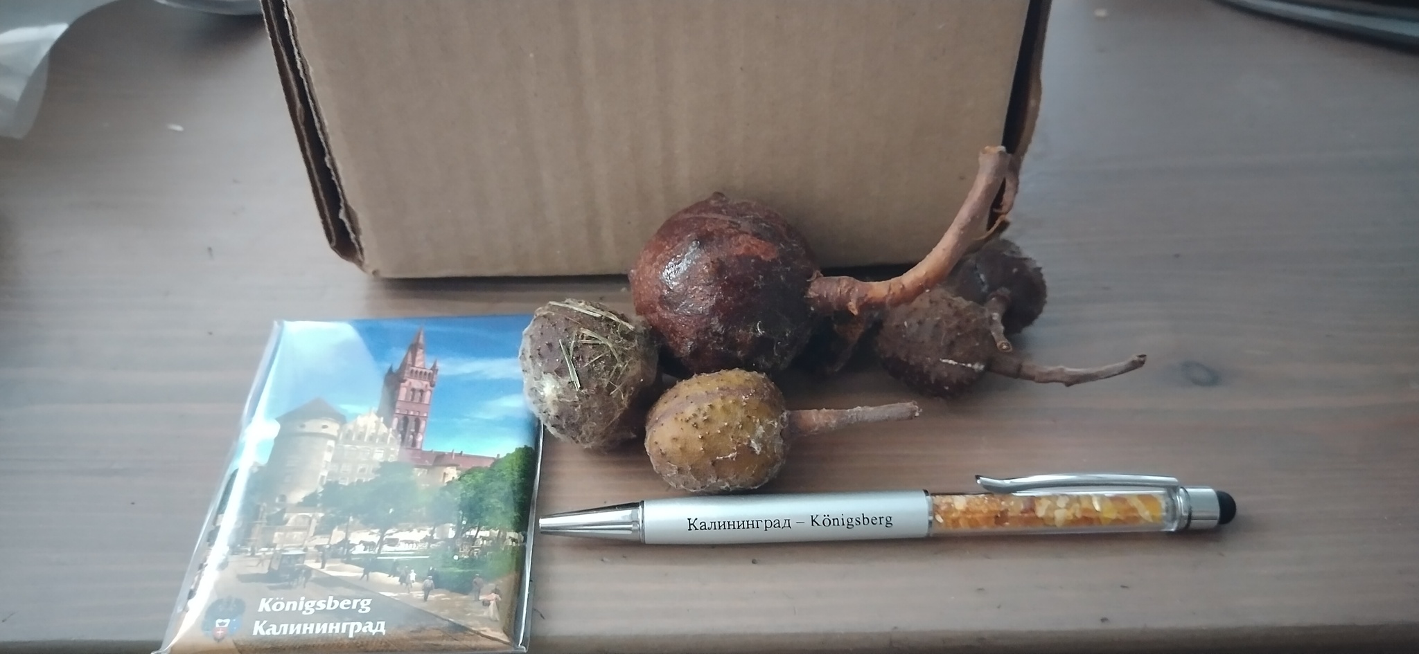 The chestnuts have arrived! - My, Chestnut, Package, Good deeds, Garden, Gardening, Longpost