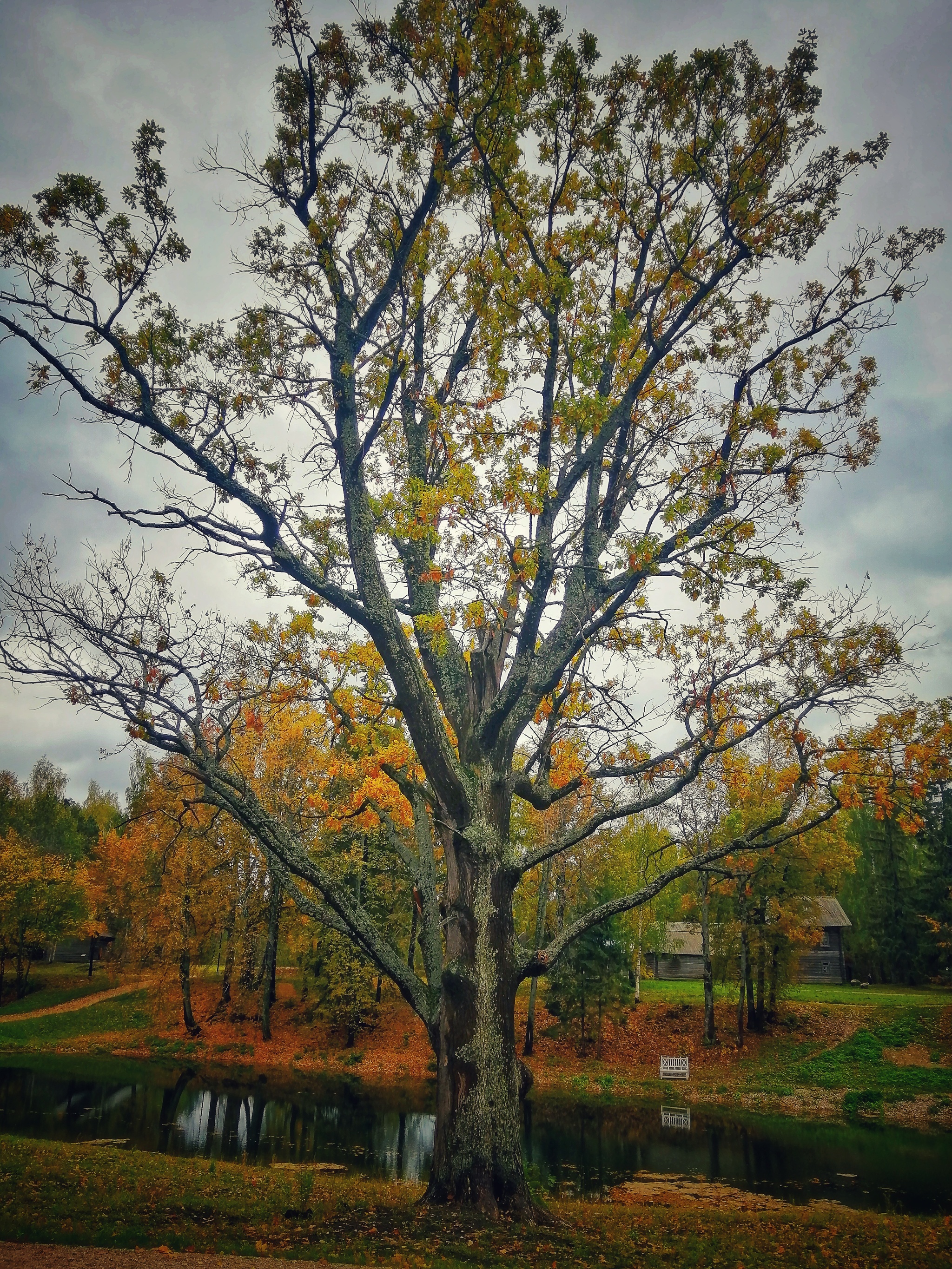 Autumn is in your feed - My, Museum, Mobile photography, Weekend, Relaxation