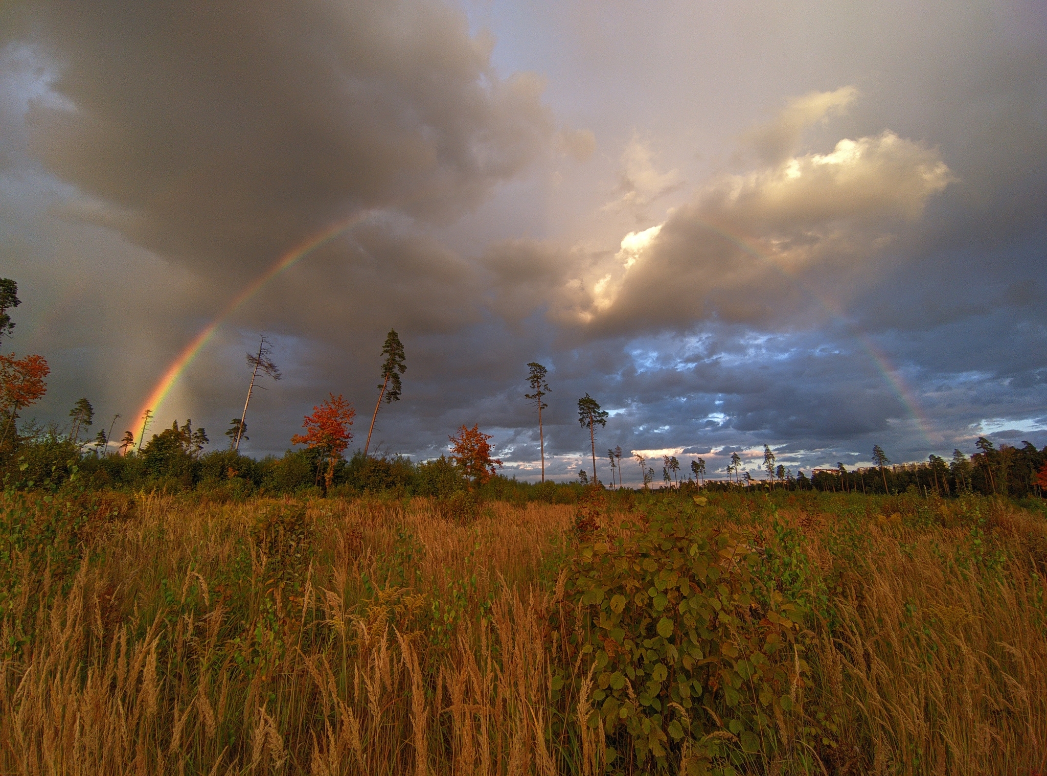 Let's go under the rainbow, let's go, and everything will be fine ... - My, Rainbow, Autumn, Nature