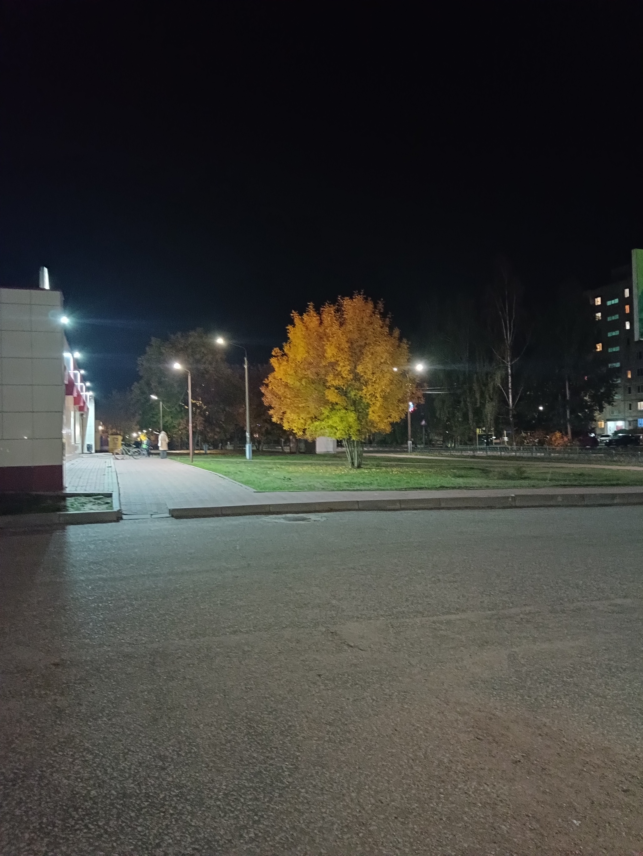 Autumn evening in the suburbs - My, Moscow region, Mobile photography