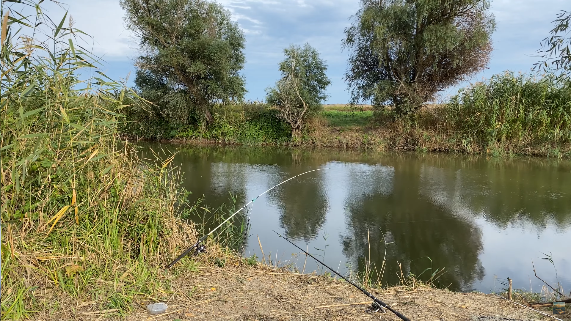 SAZAN POPPER! - My, Fishing, Youtube, Camping, A fish, Video blog, Astrakhan, Longpost