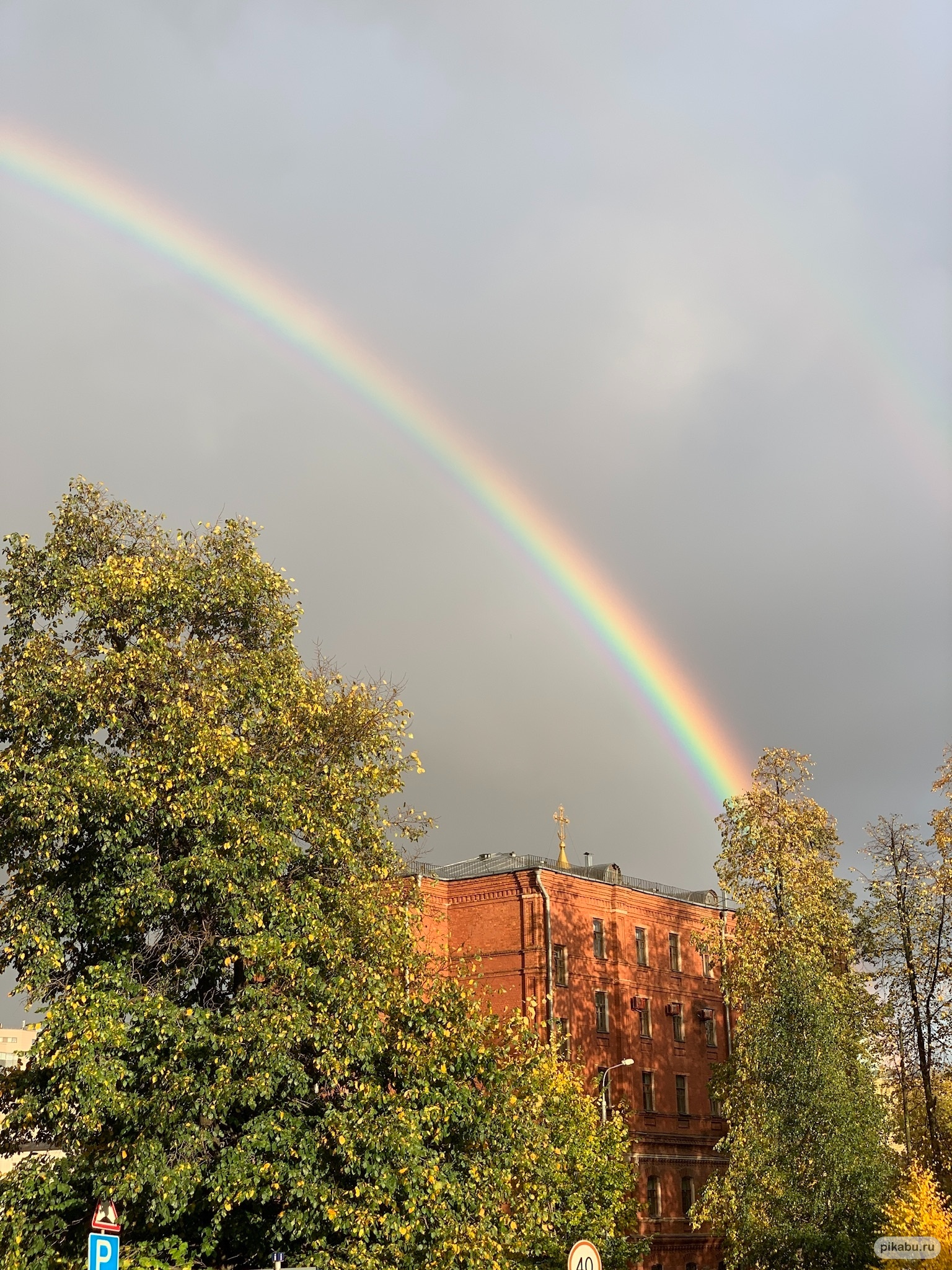 Rainbow - Радуга, Фотография