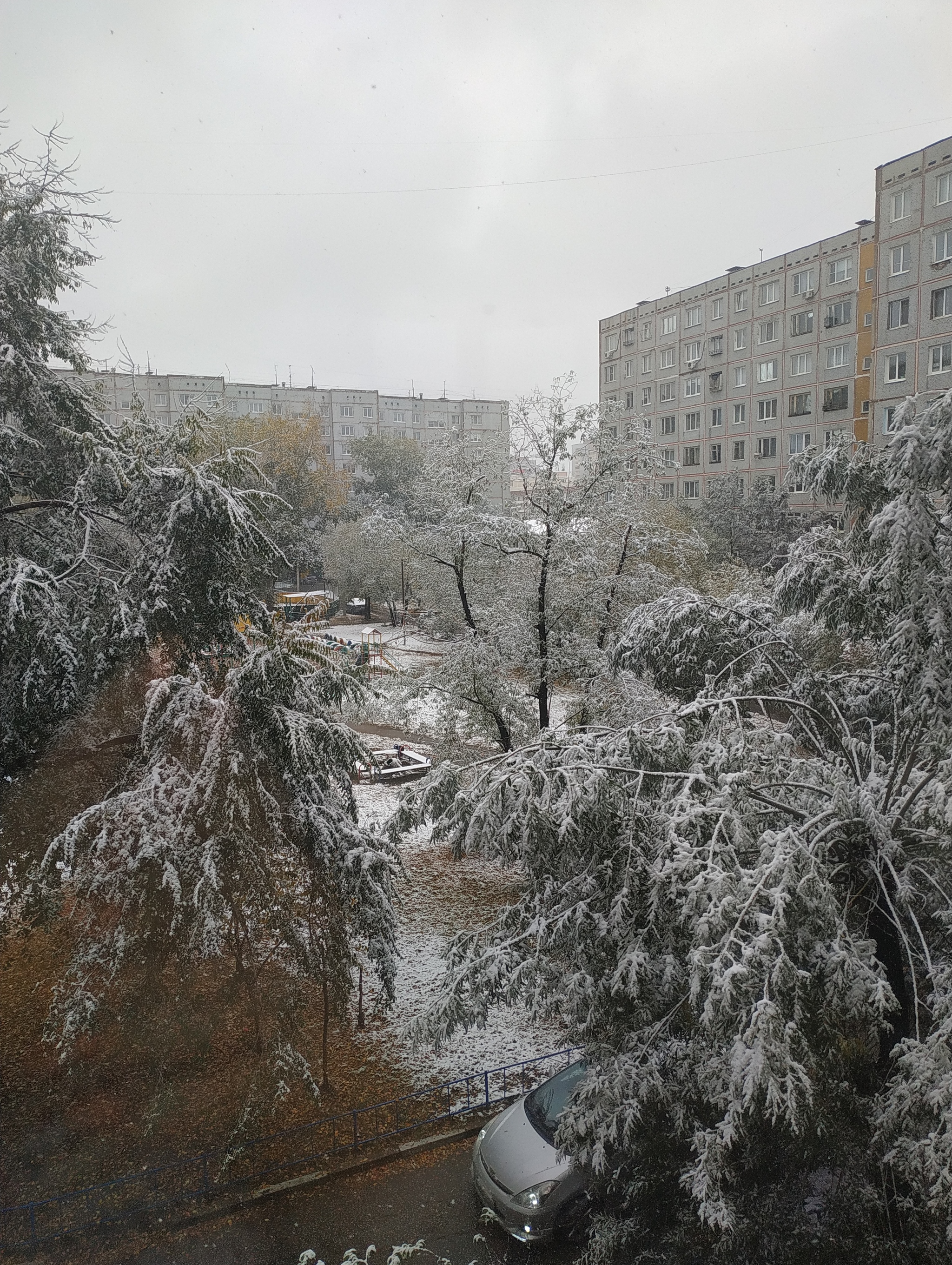 Here is such a sharply continental climate - Weather, Heat, Snow, Omsk, First snow